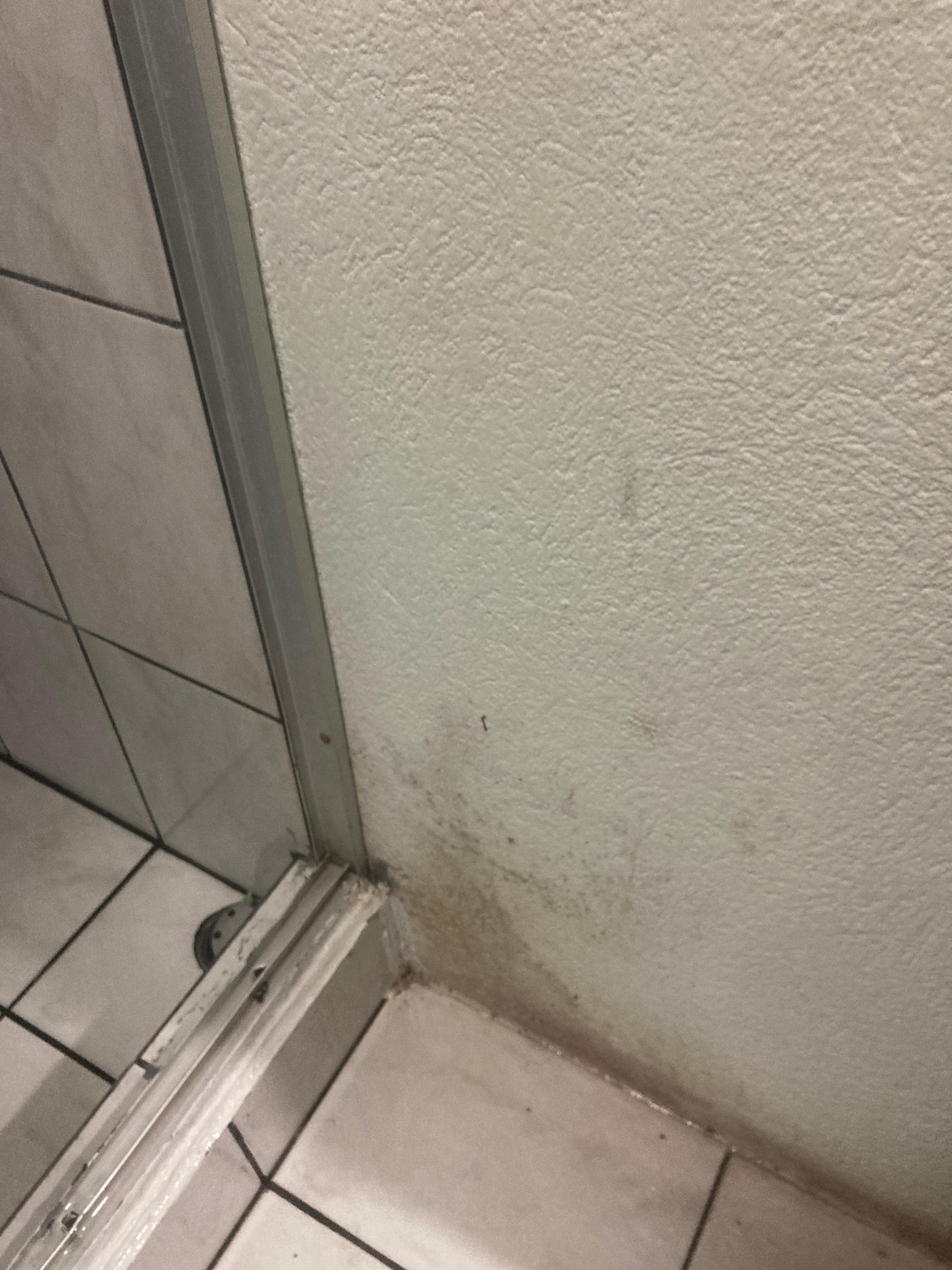 Mold by shower