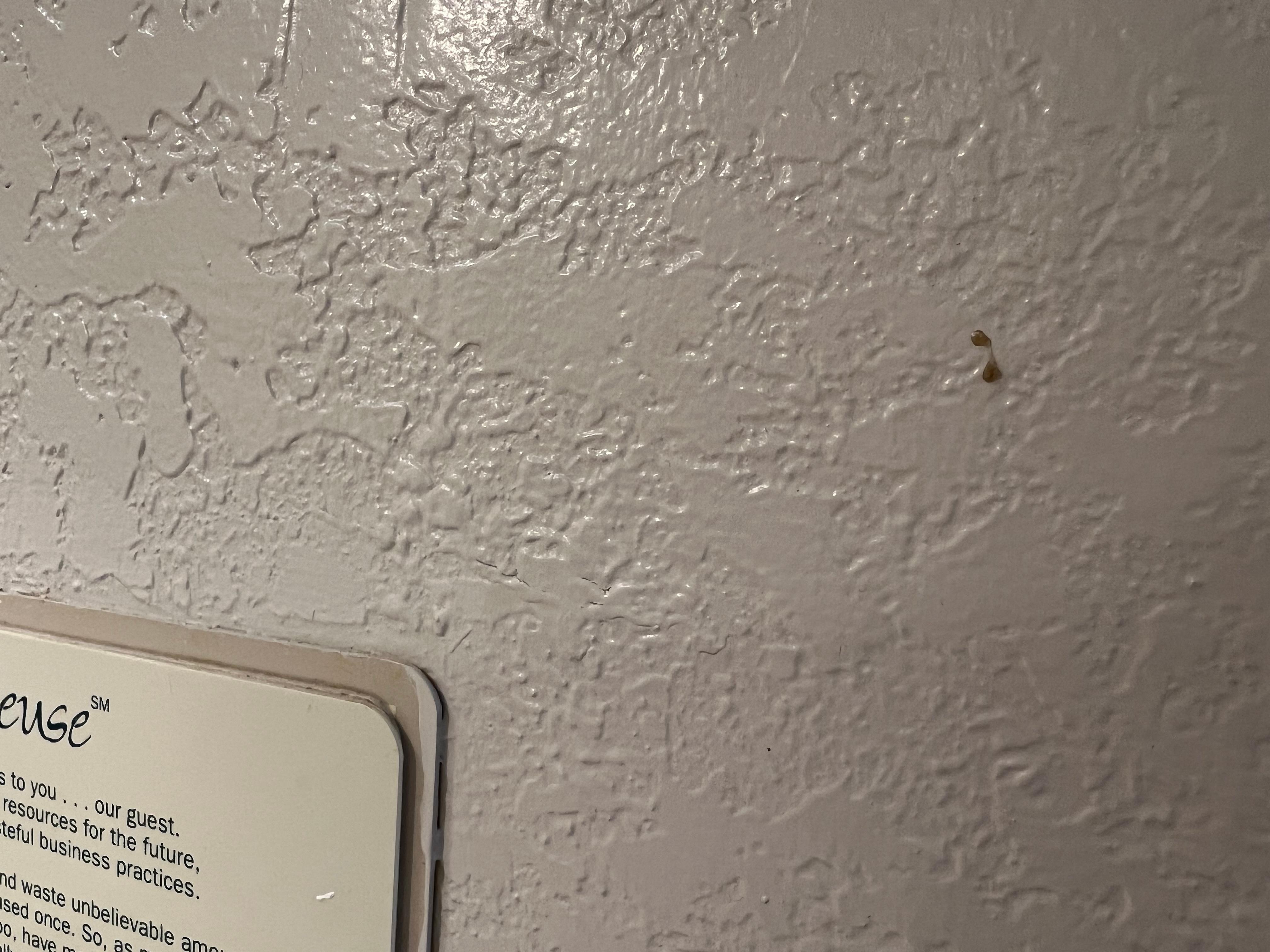 Booger on bathroom wall 🤢