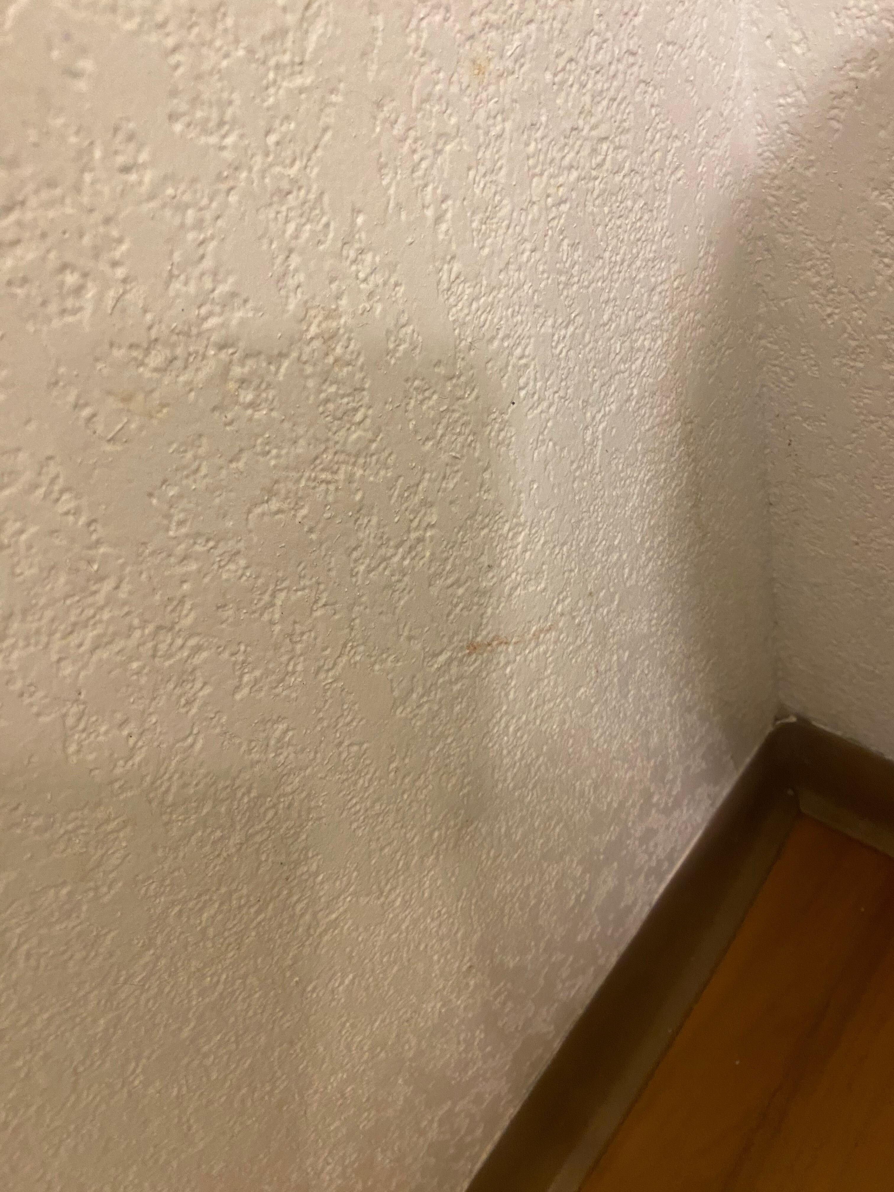 Blood next to toilet