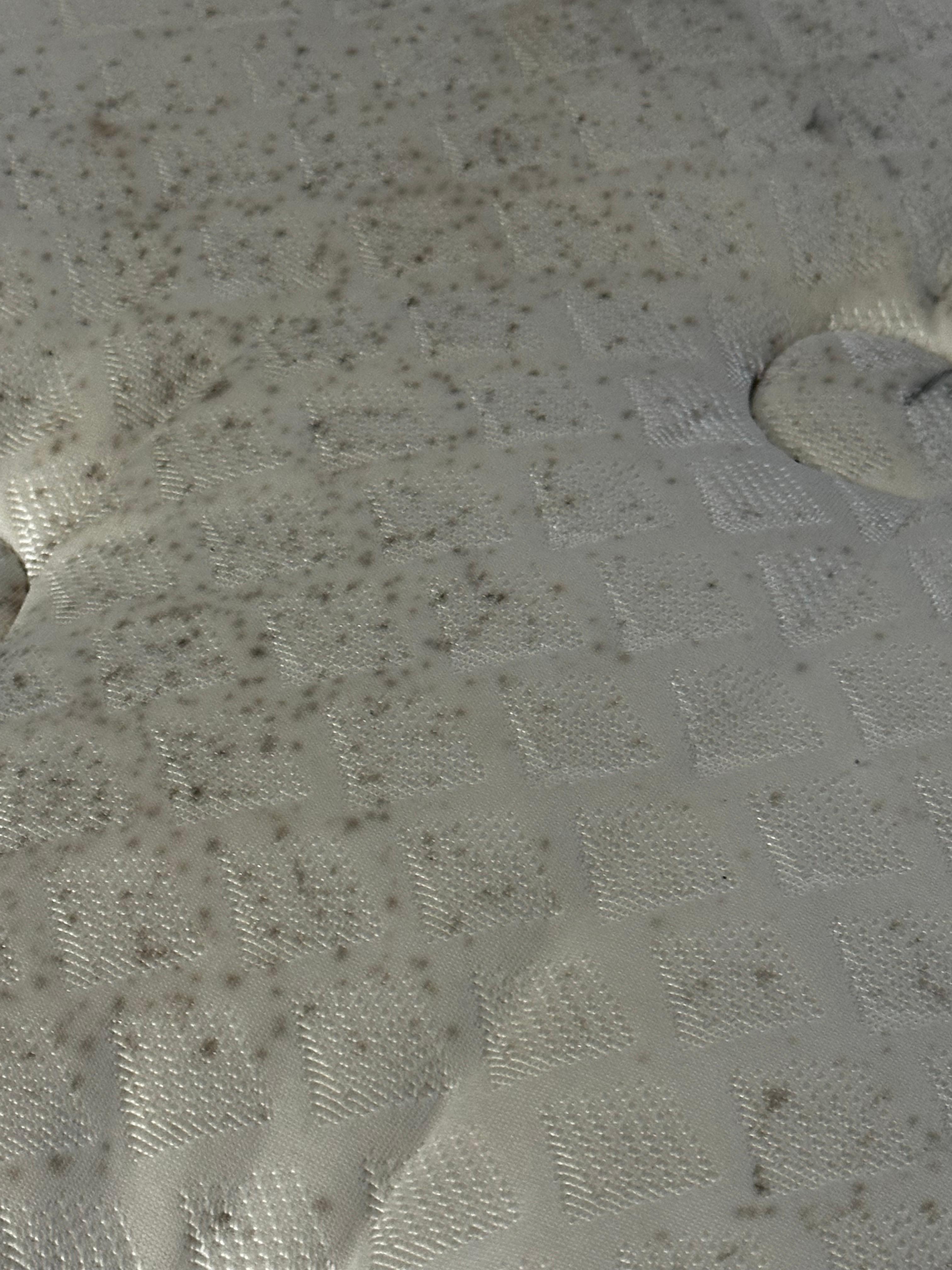 Mattress covered and mold