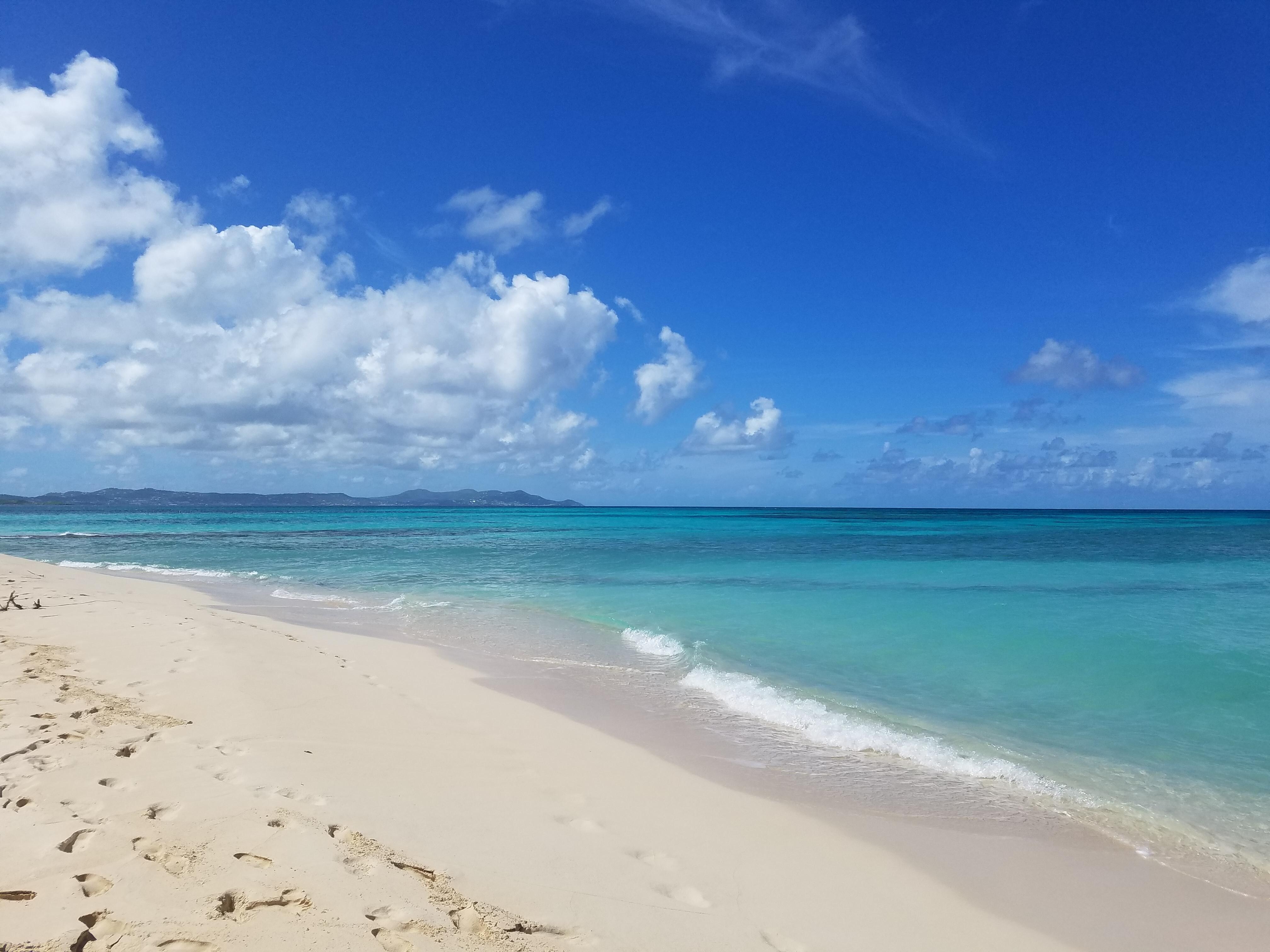 Buck island