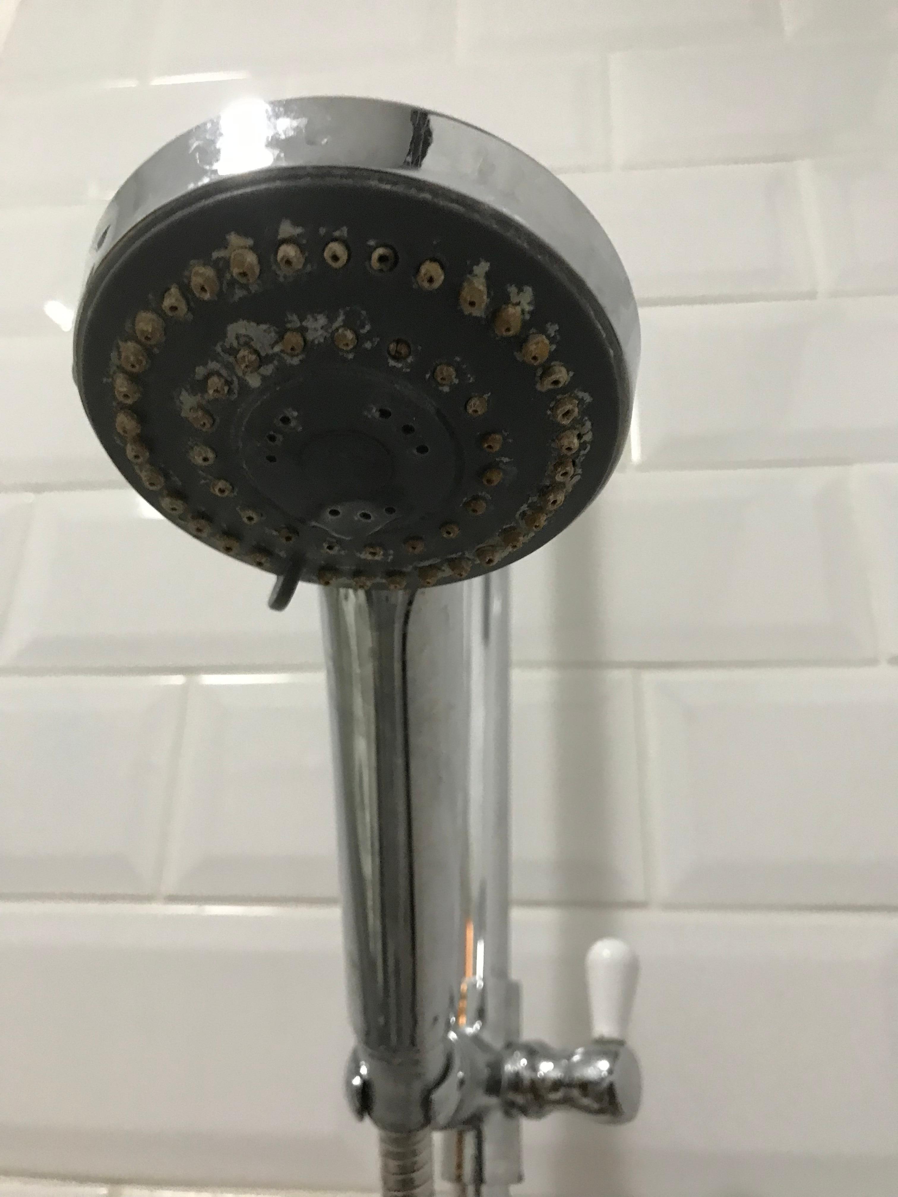 Shower head appalling standard 