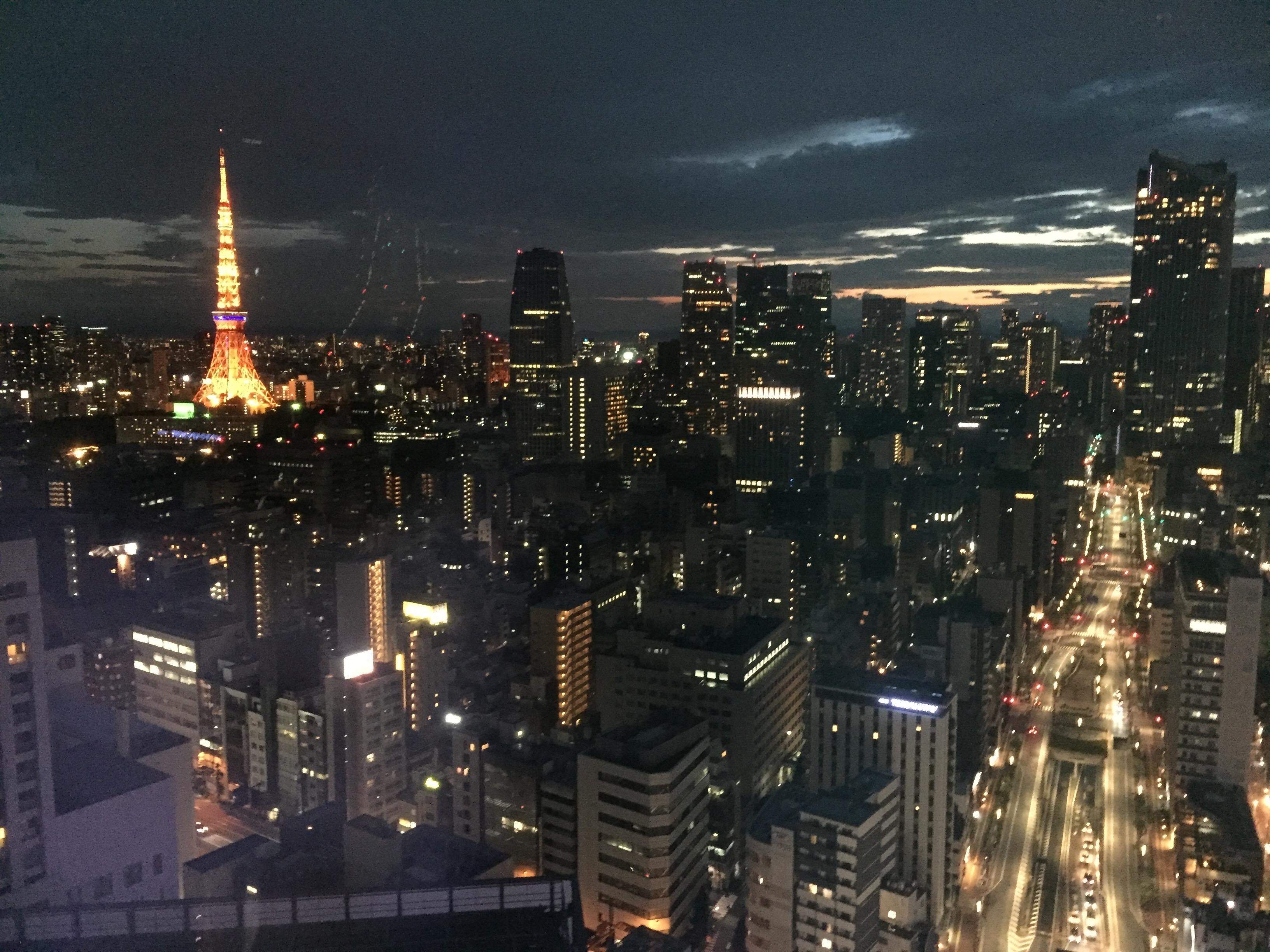 View of Tokyo Tower from Lobby