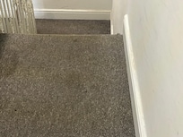 Filthy, smelly, stained carpet.