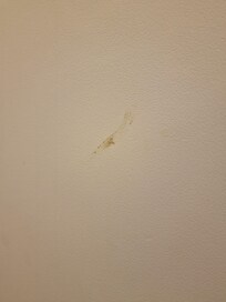 Didn't want to get too close to this smear!