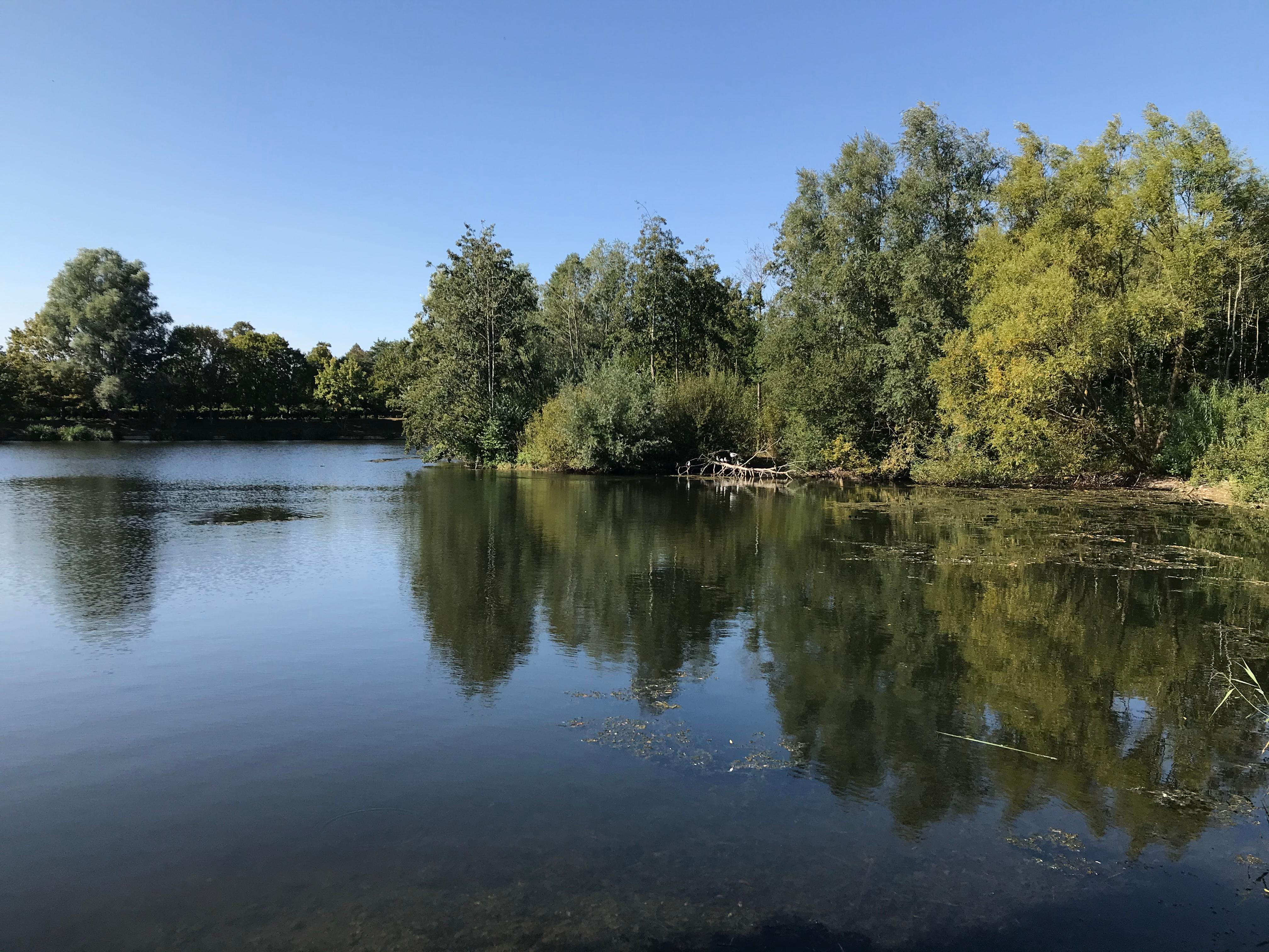 Needham lake