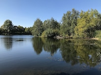 Needham lake