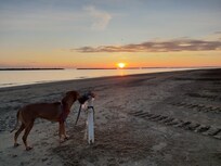 Promenad och Morgondopp