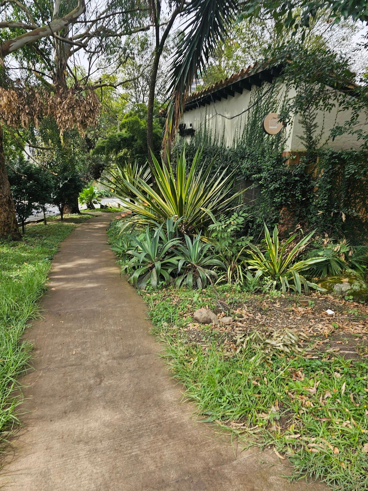 walking along the street where the hotel is located