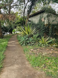walking along the street where the hotel is located