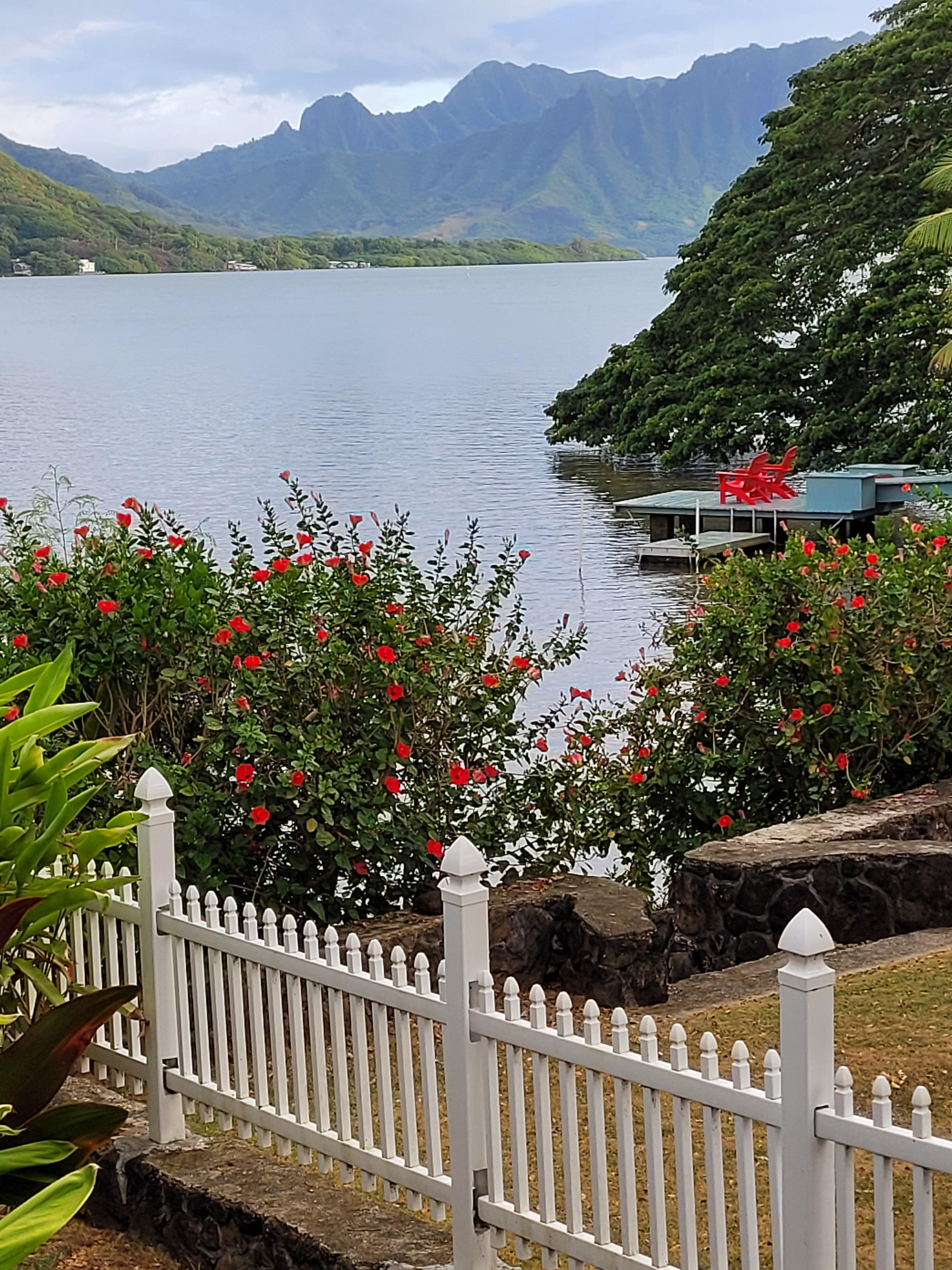 Morning coffee view