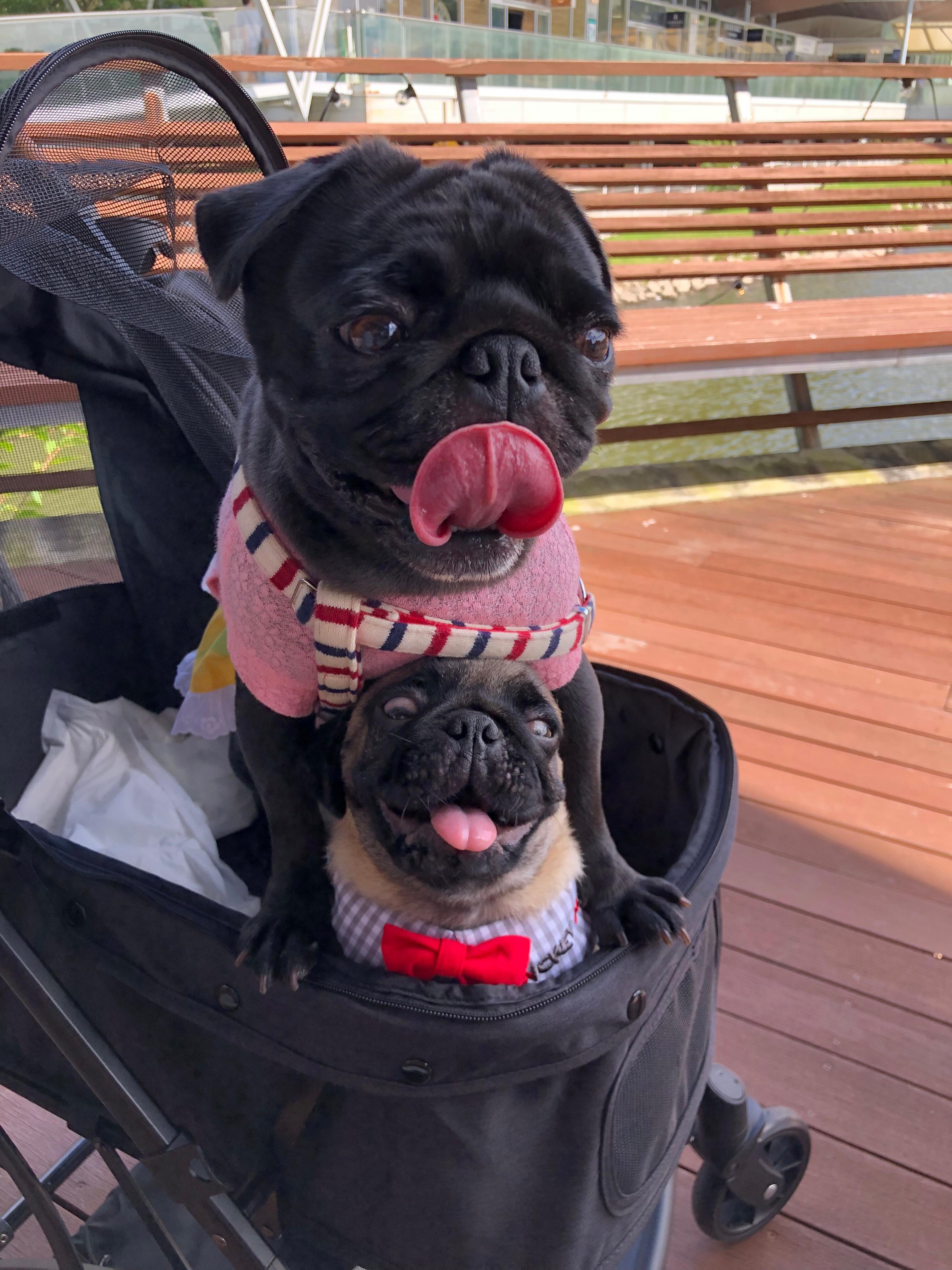 ウッドデッキで心地良い風を感じながら飲むコーヒーは最高です