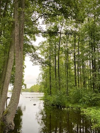 Skyeån mot Torsjön
