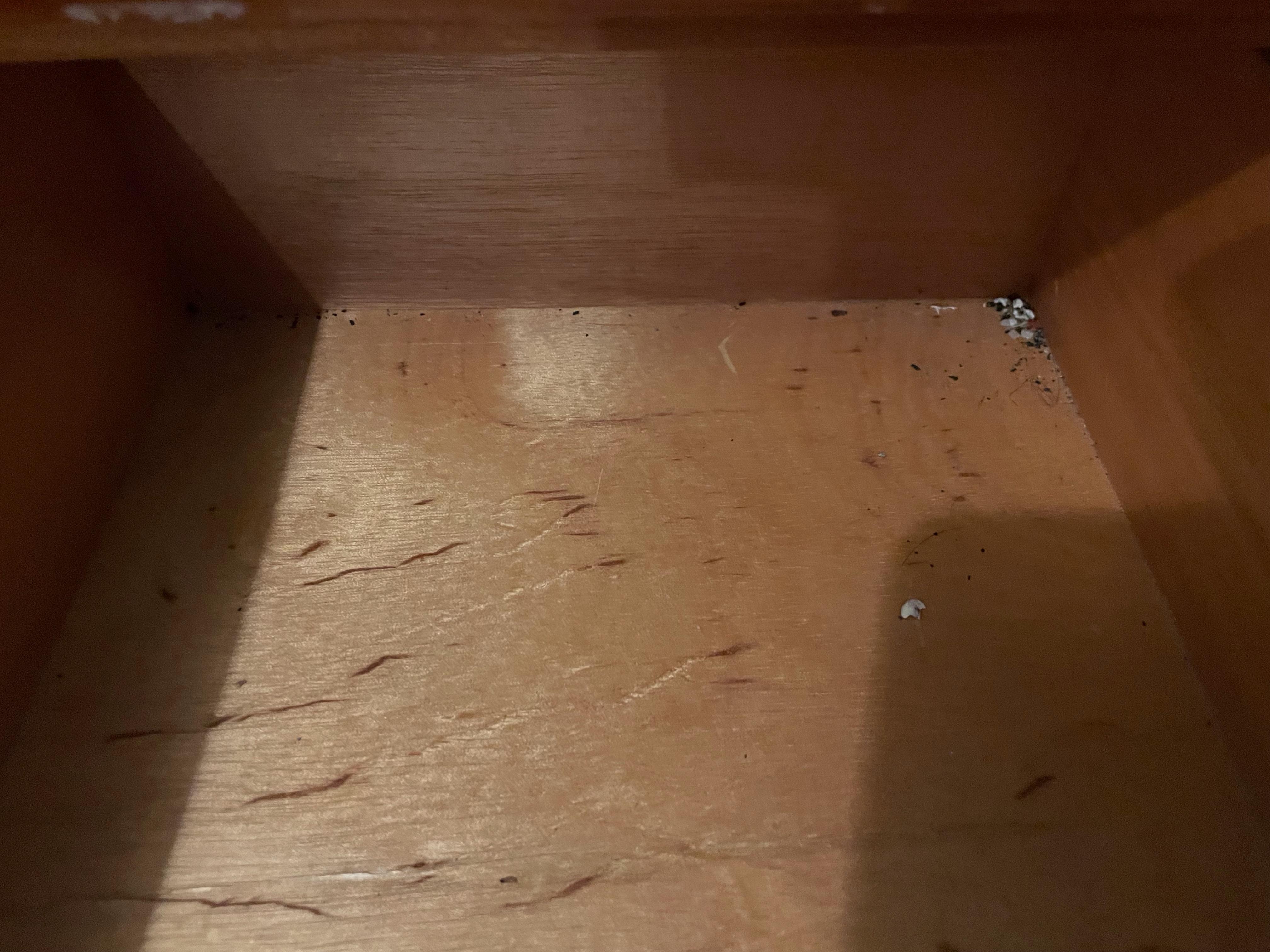 Krypdyr som aldri ble fjernet.