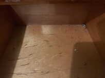 Krypdyr som aldri ble fjernet.