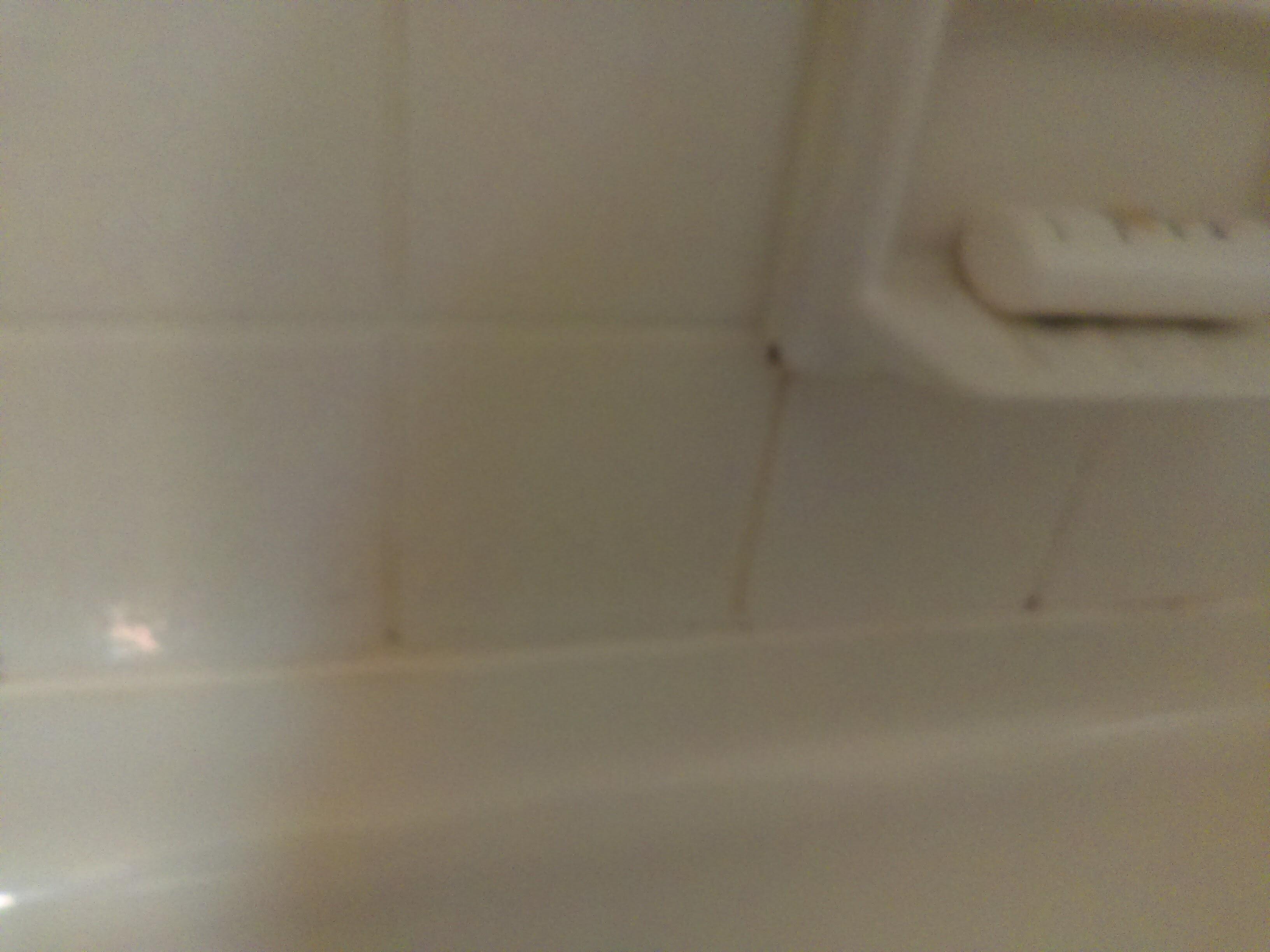 Black in the tile