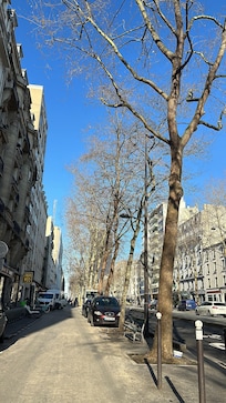Vista da rua