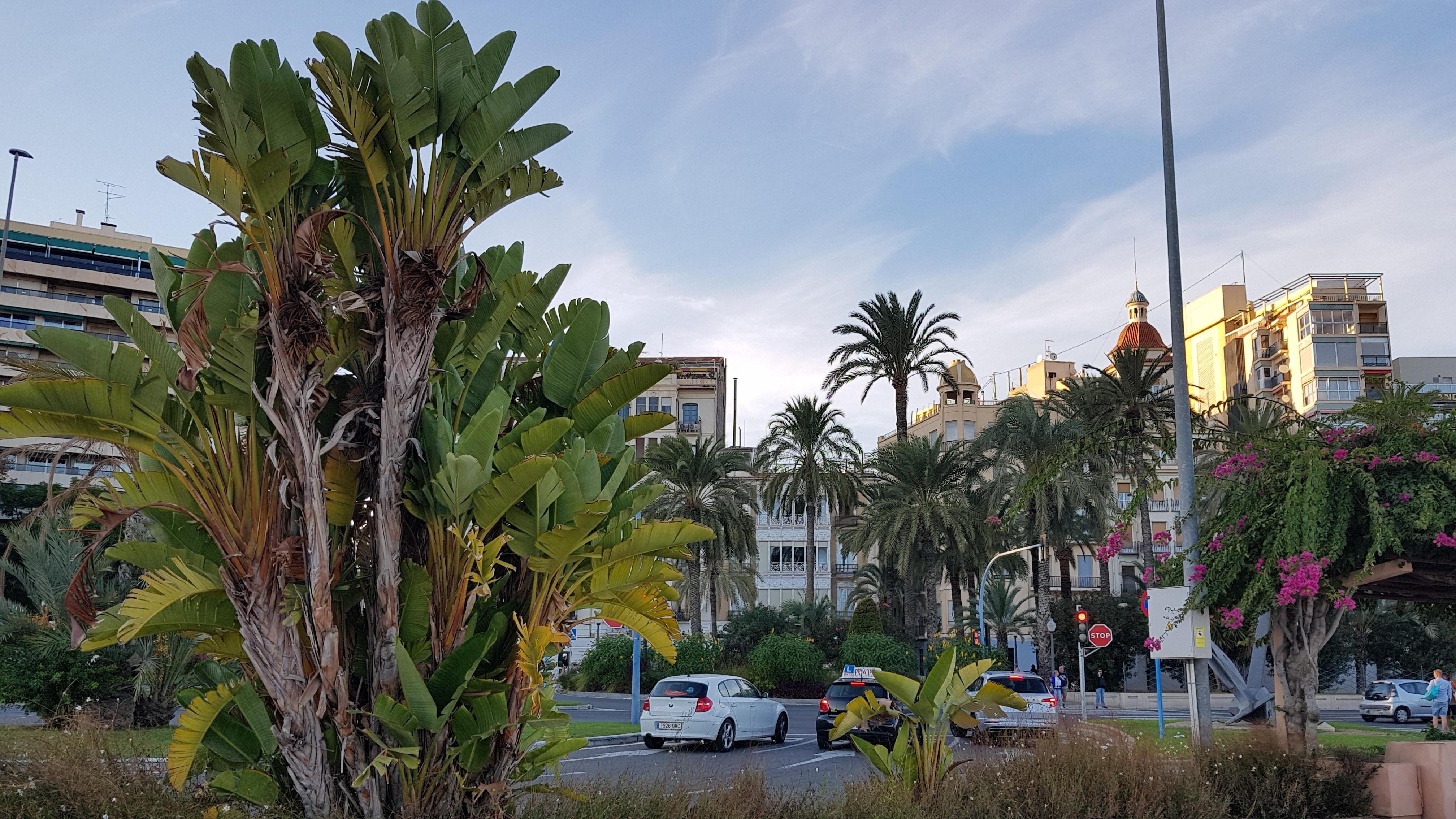 Views from the promenade by the beach