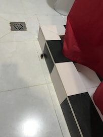Cockroaches