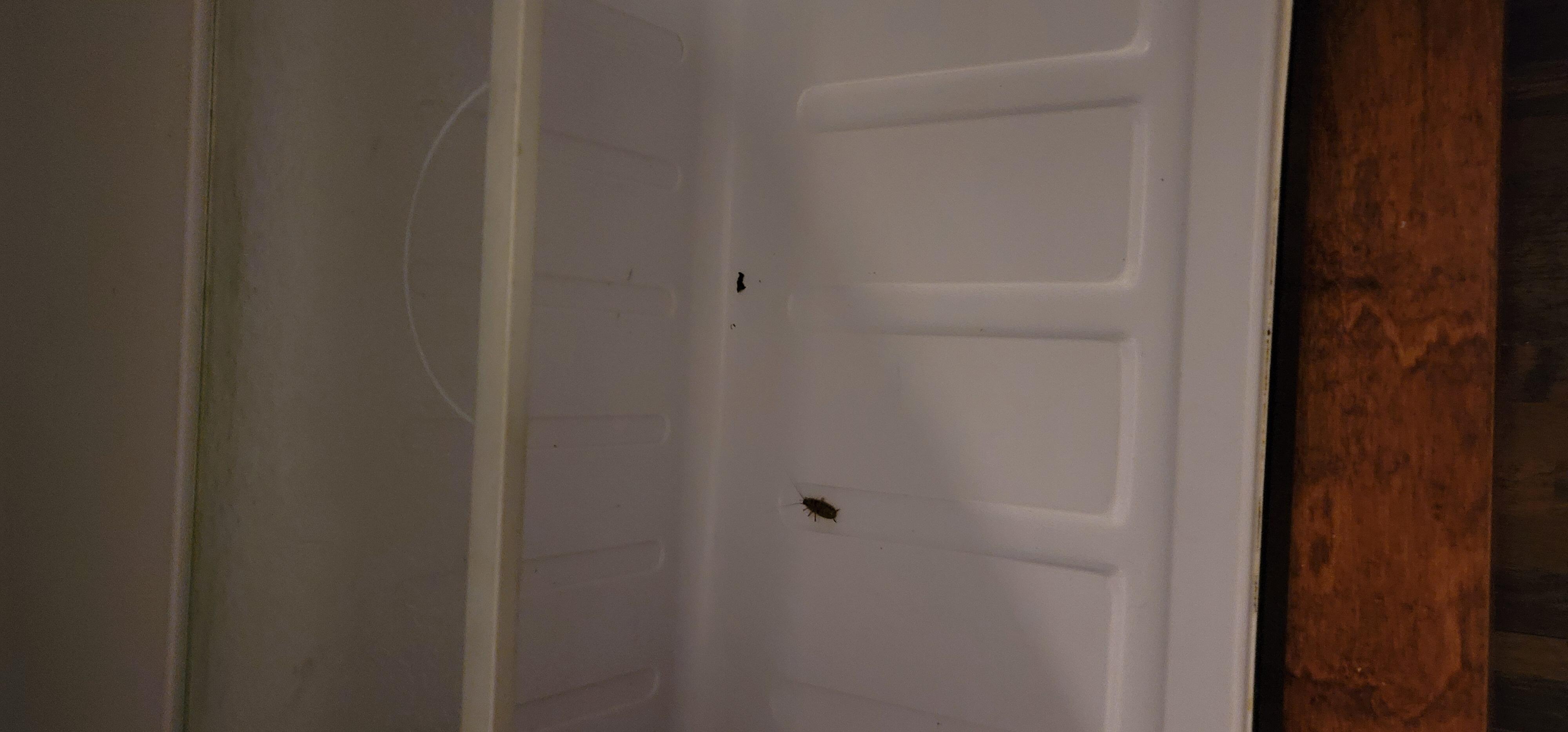 Inside the refrigerator in 2nd room