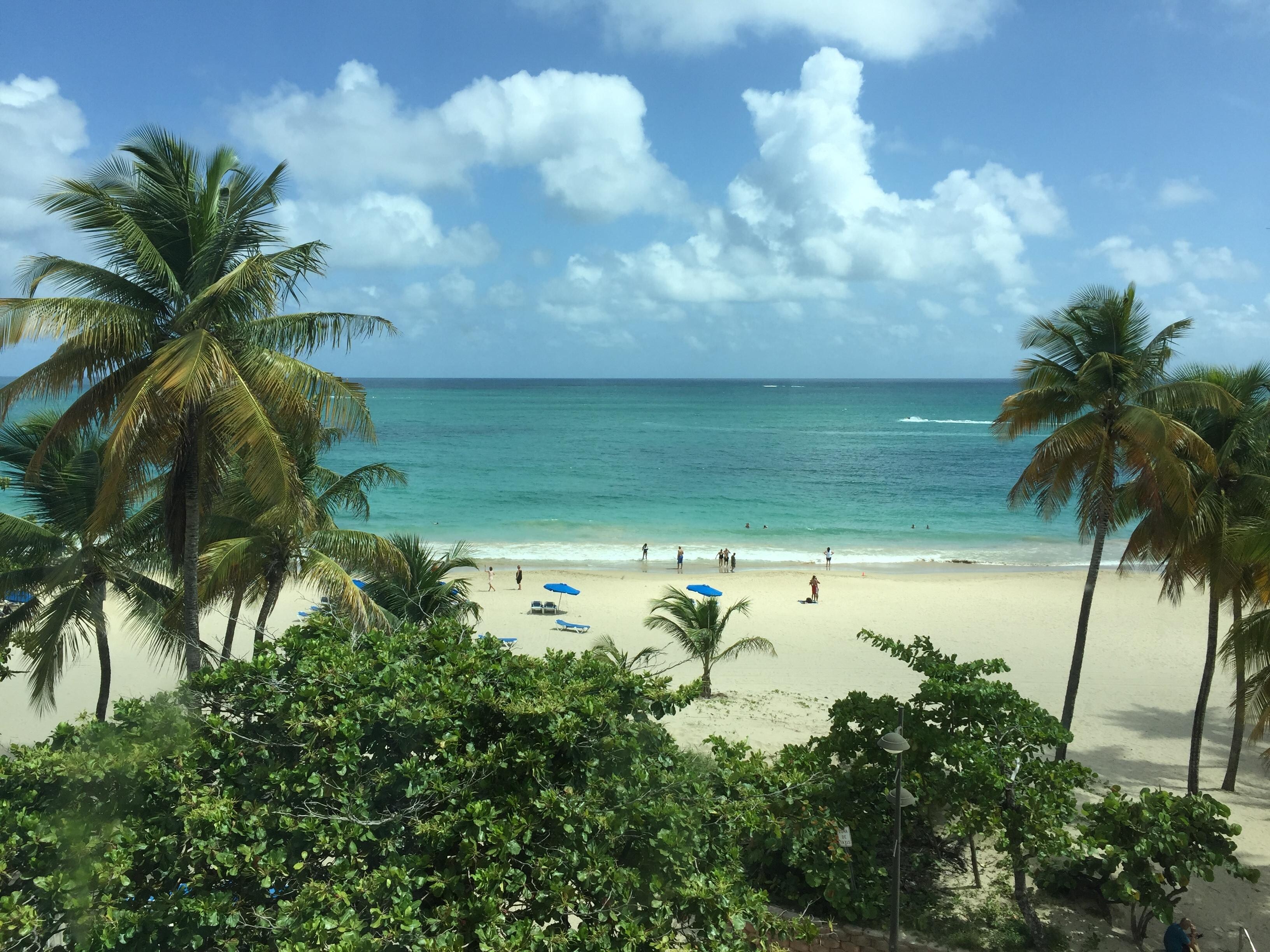 View from our bedroom