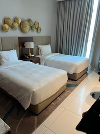 This is what i got. no hall or sofa bed.