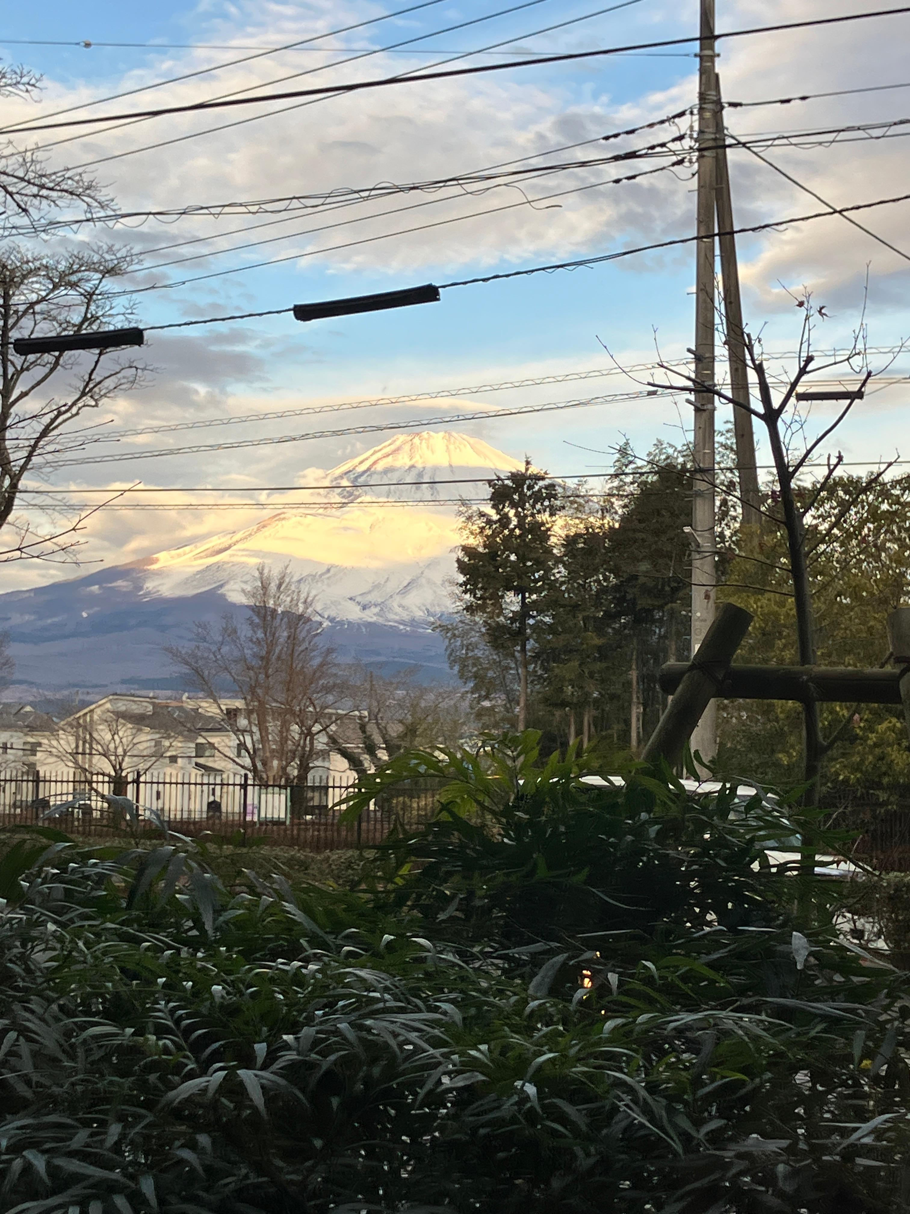 雄大な富士山が綺麗に見れました