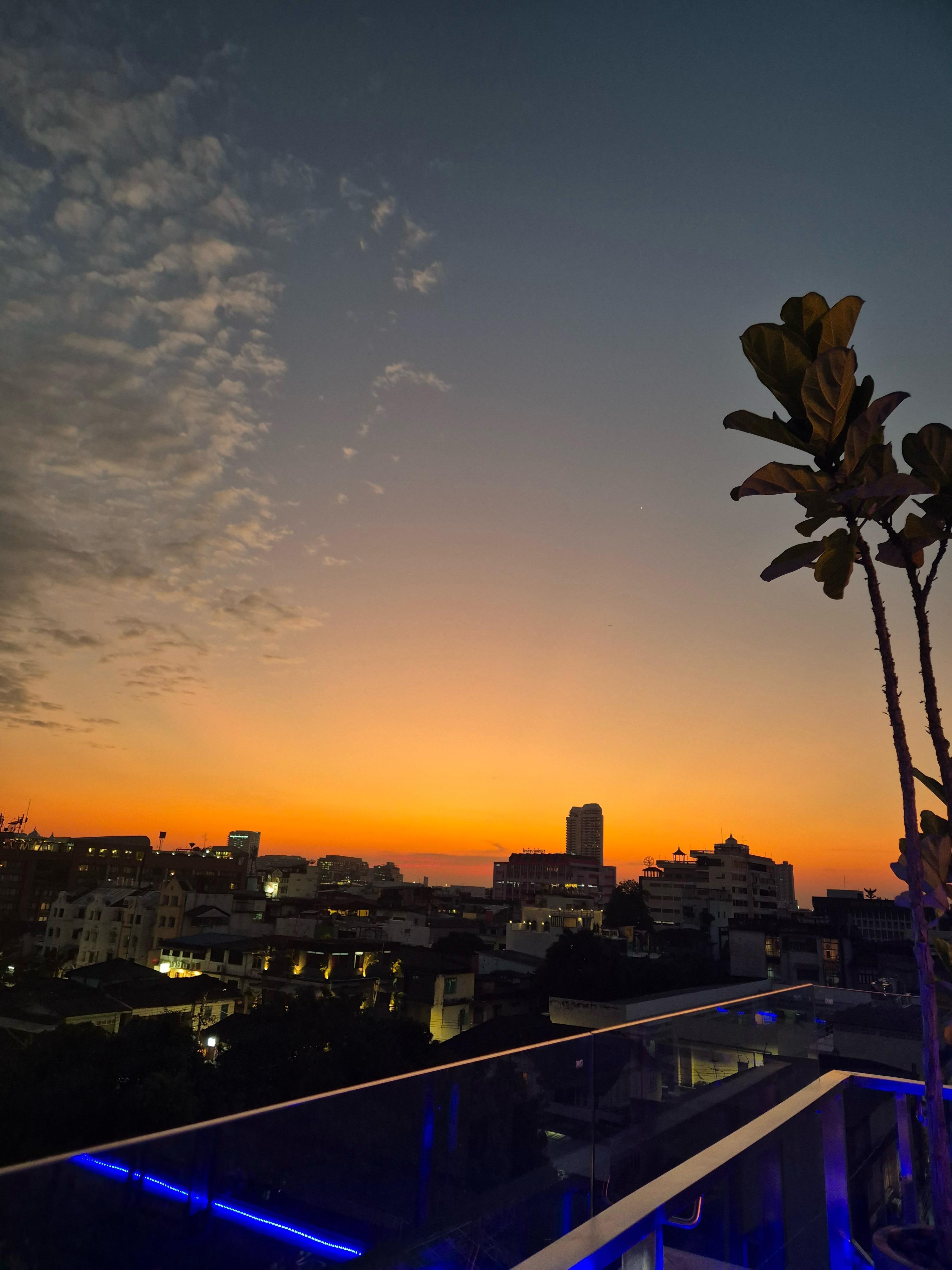 View from the rooftop bar next door 