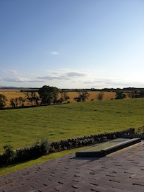 View from the room