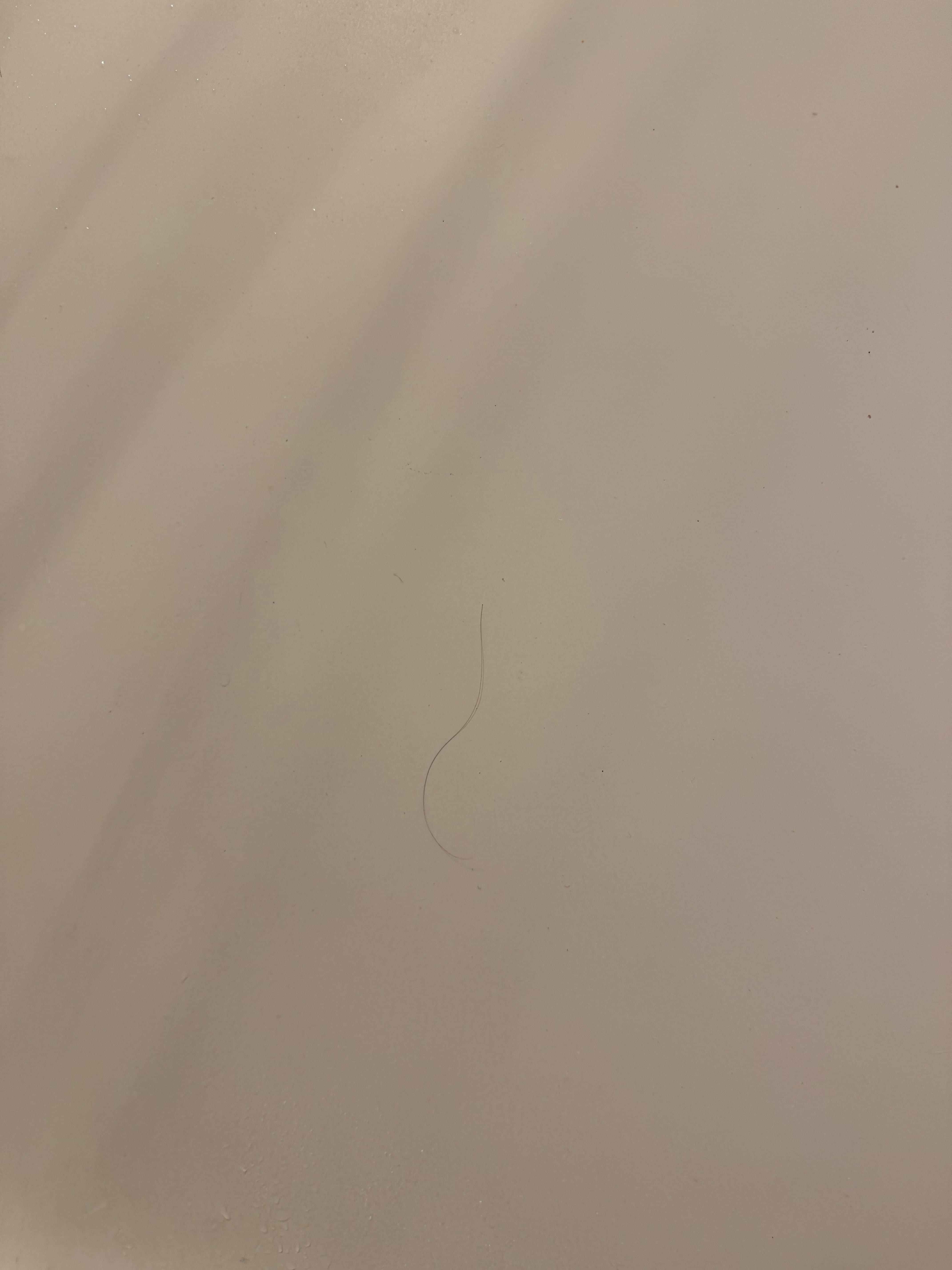 Hair in the shower