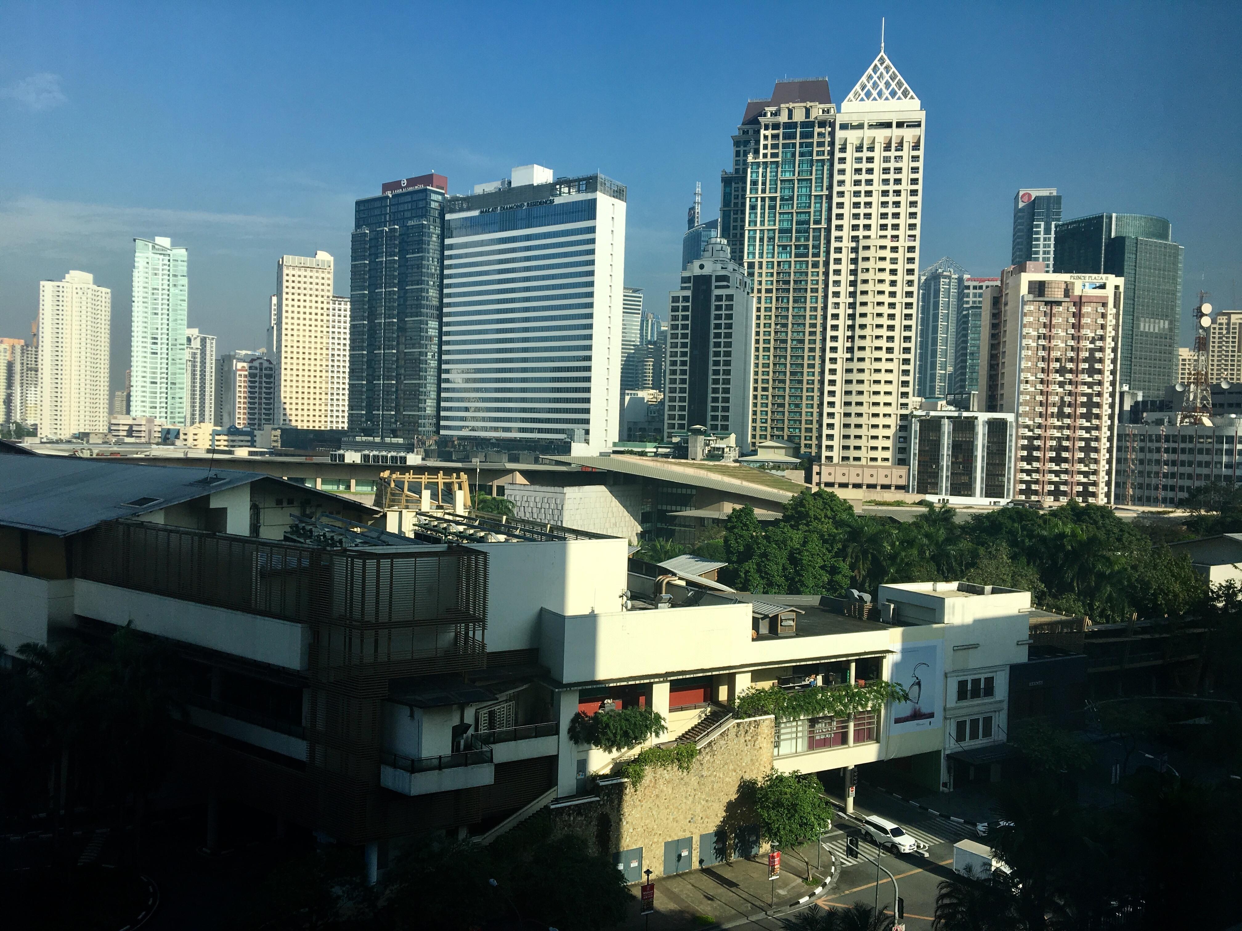 The view