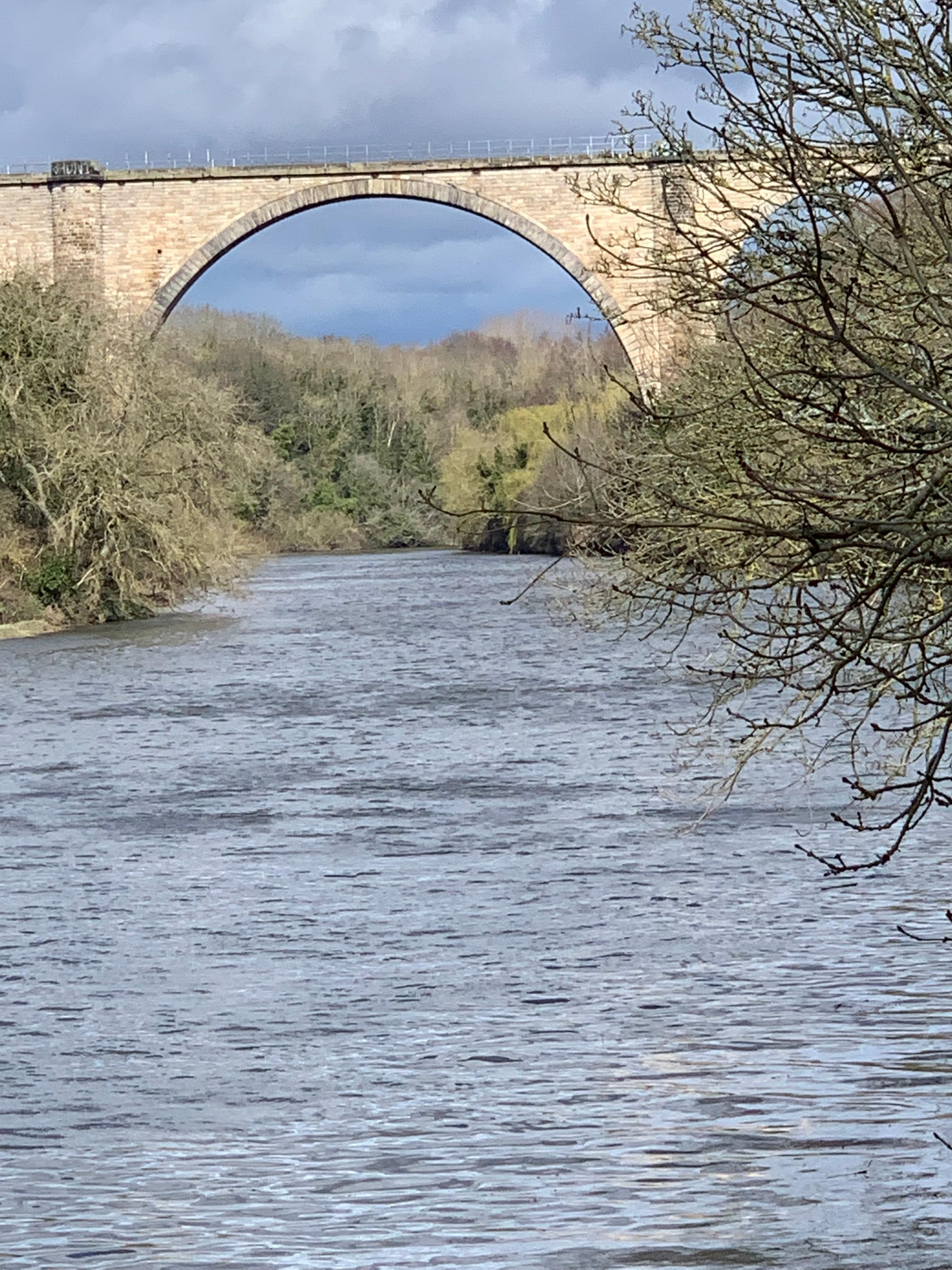 Riverside walk