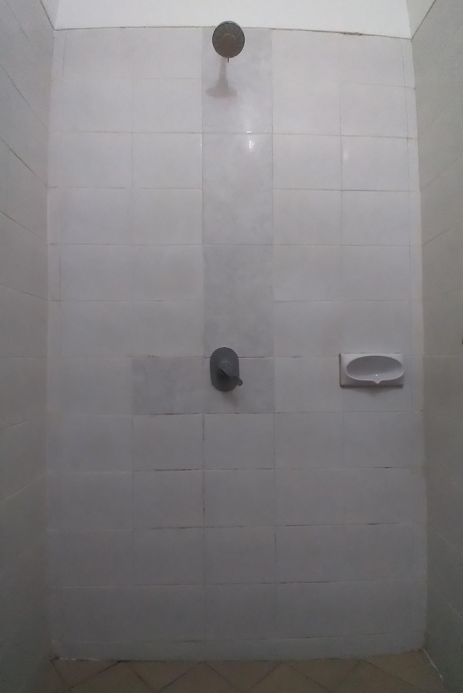 First image - shower tiles