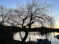 Early morning view from my room