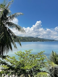 restaurant view
