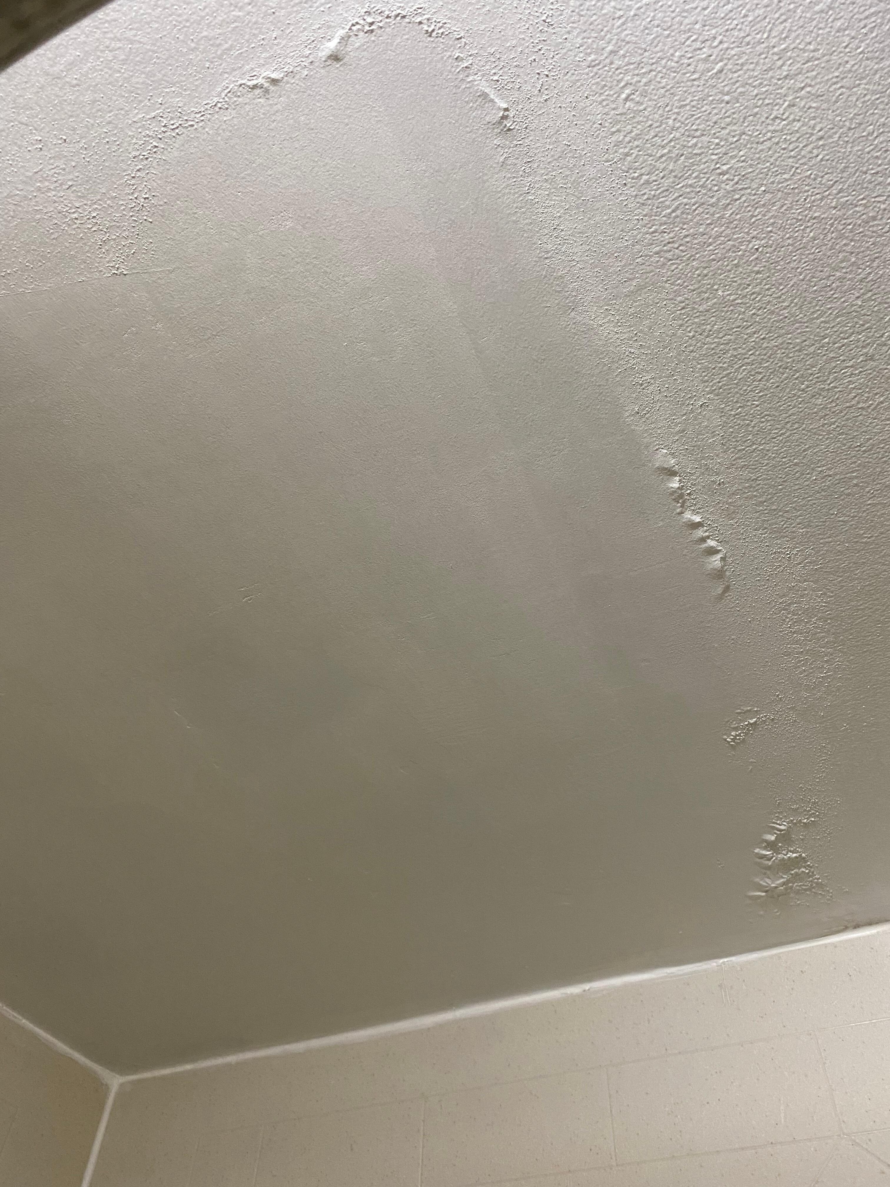 Patch up ceiling in bathroom!