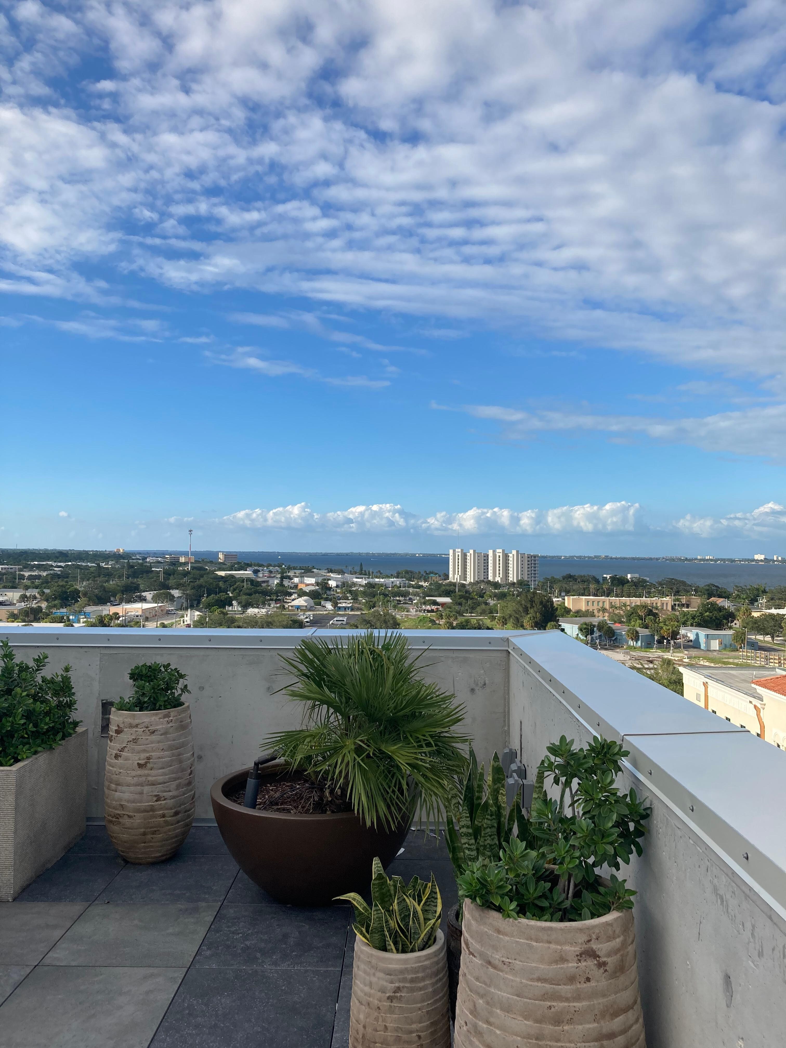 Rooftop/the landing