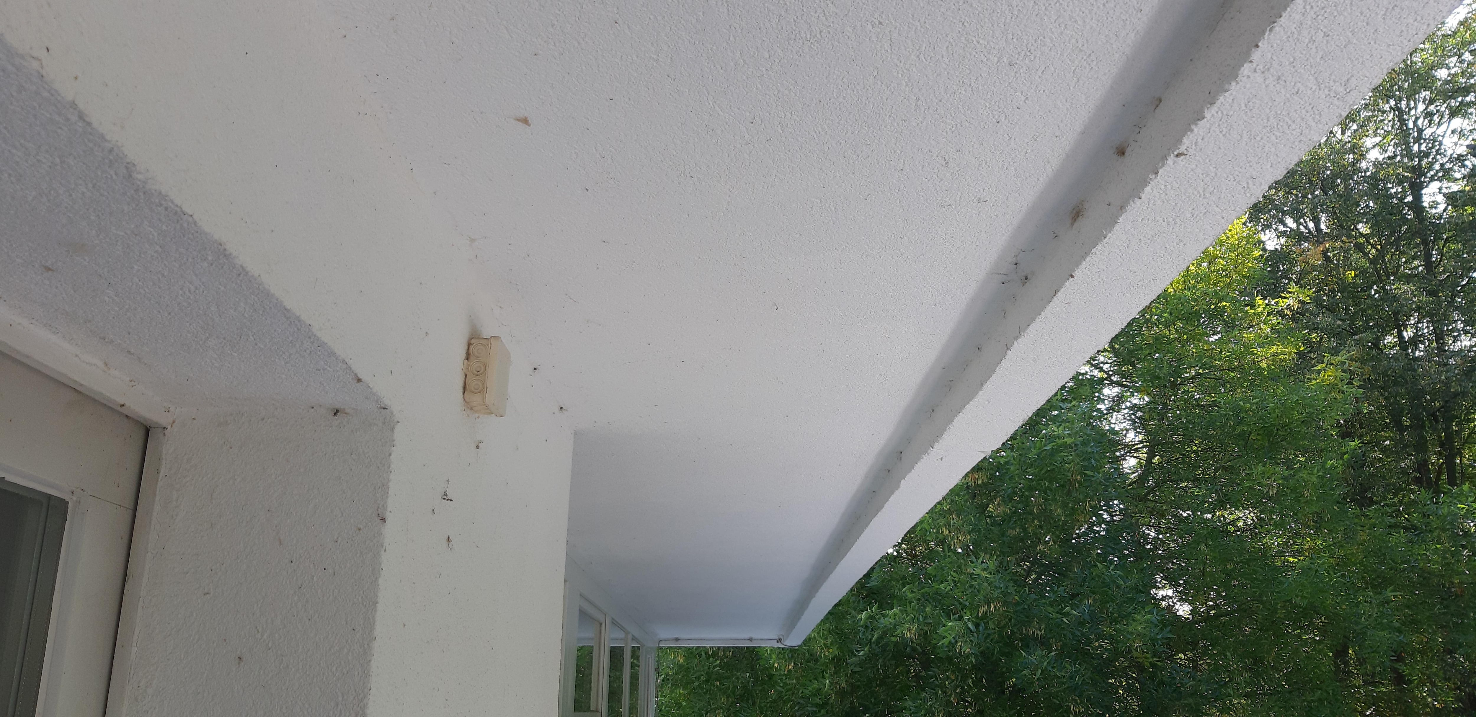 Spinnweben auf dem Balkon 