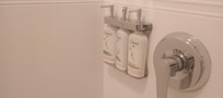 Dove body wash and shampoo