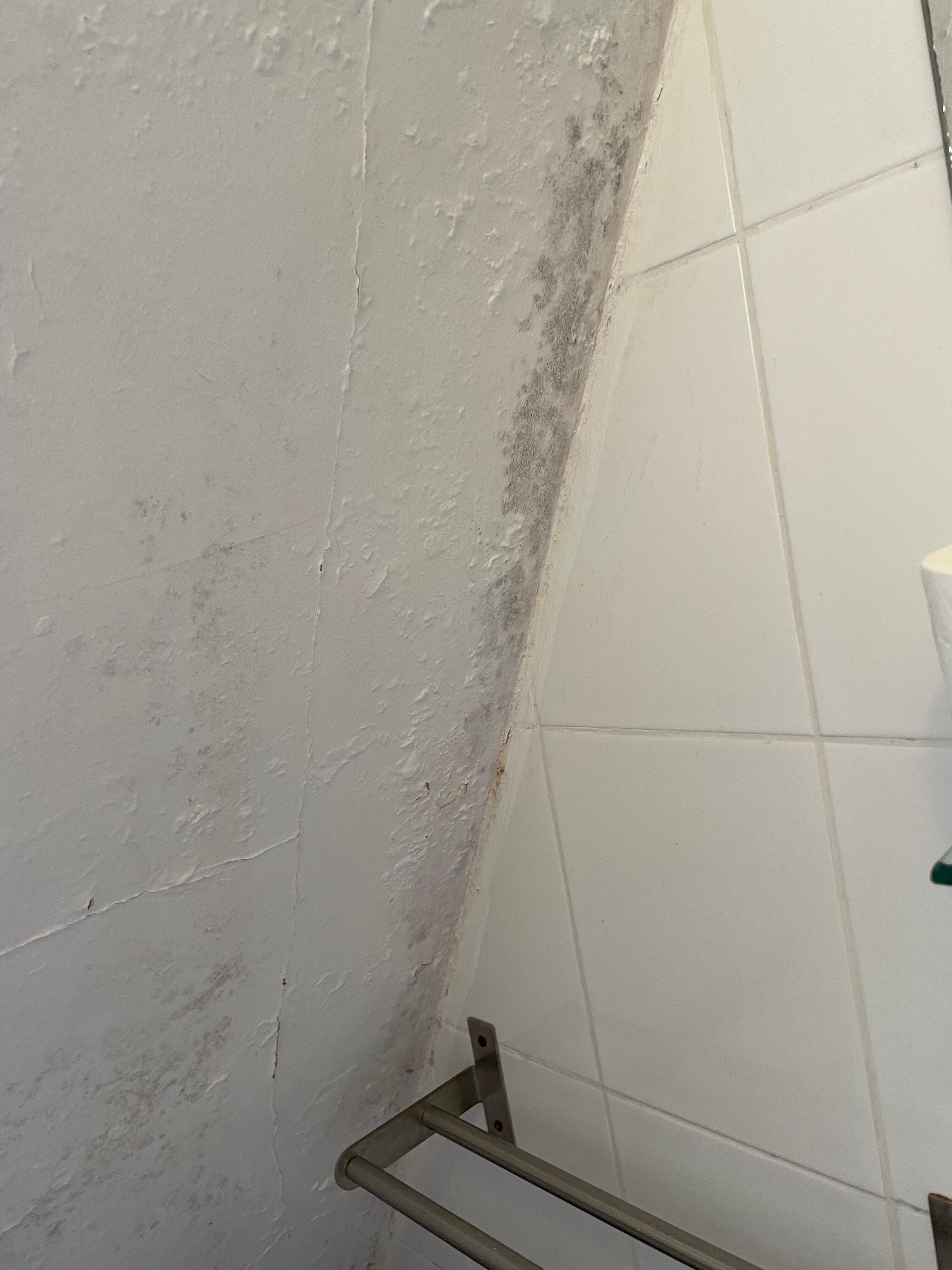 Væg i baderum