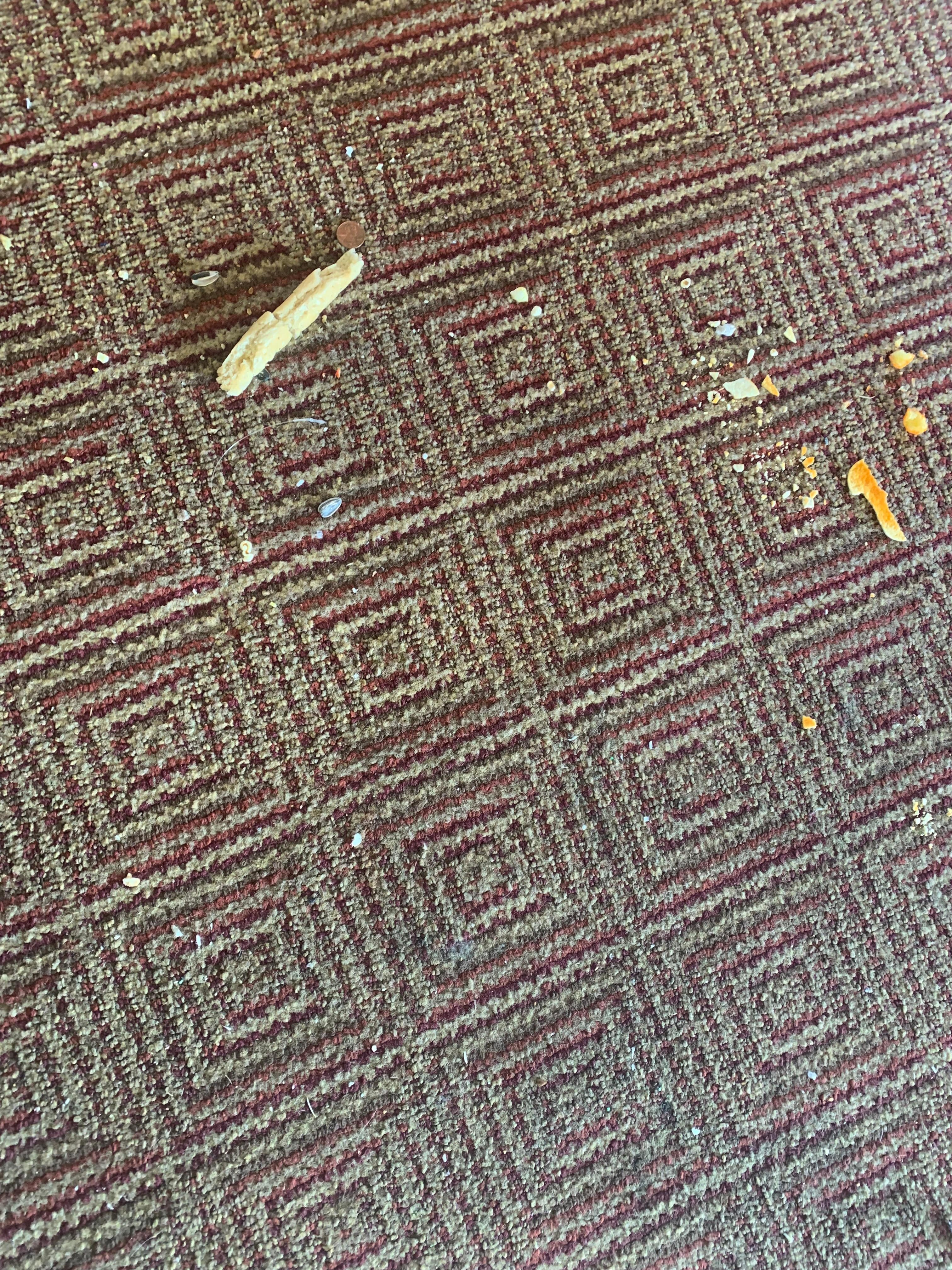 Comida y basura en la alfombra
