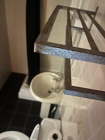 Rusty shower rail