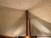 Ceiling