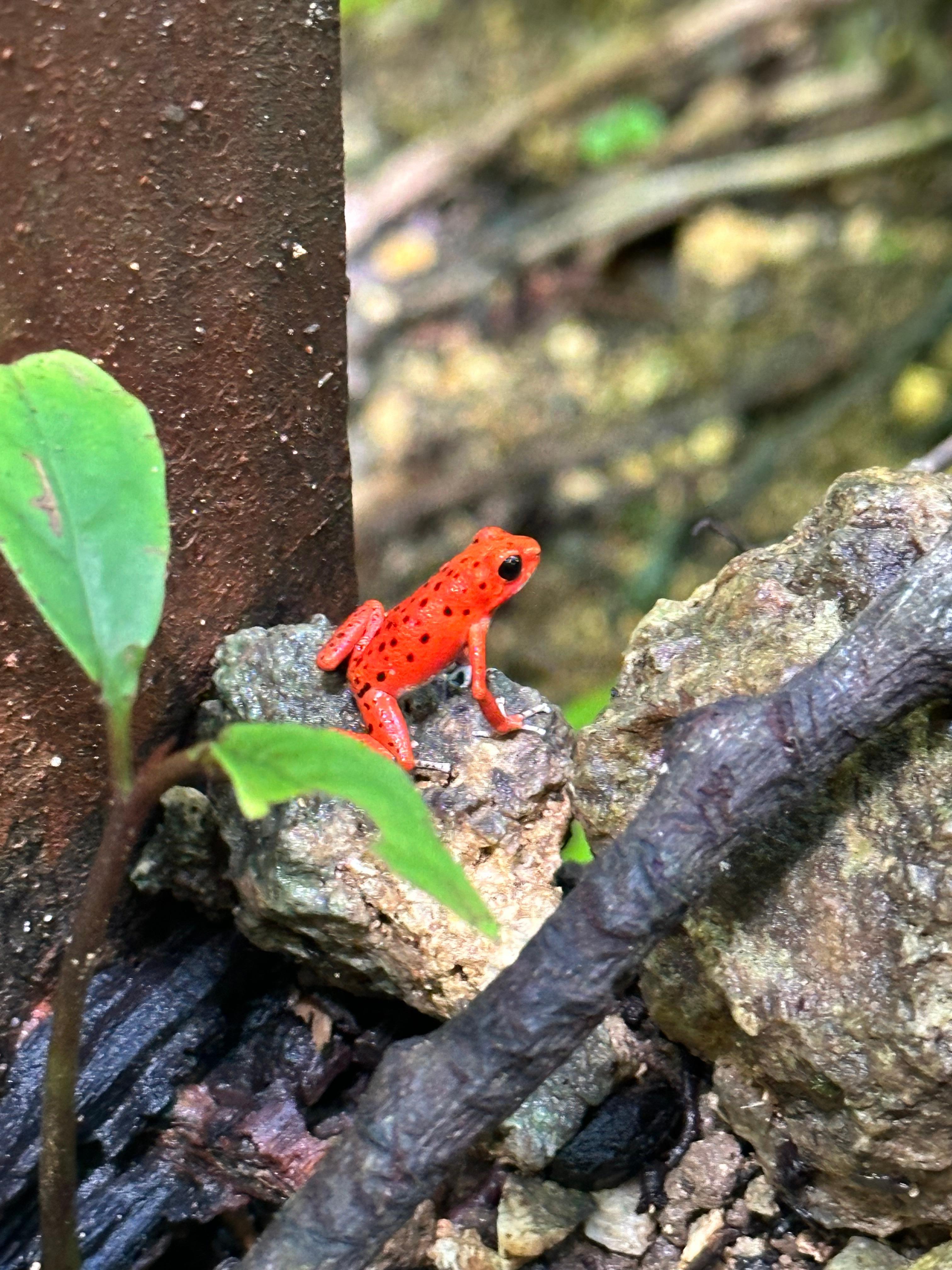 Seen along the path to the spa