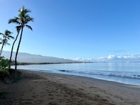 Morning Bay beach view