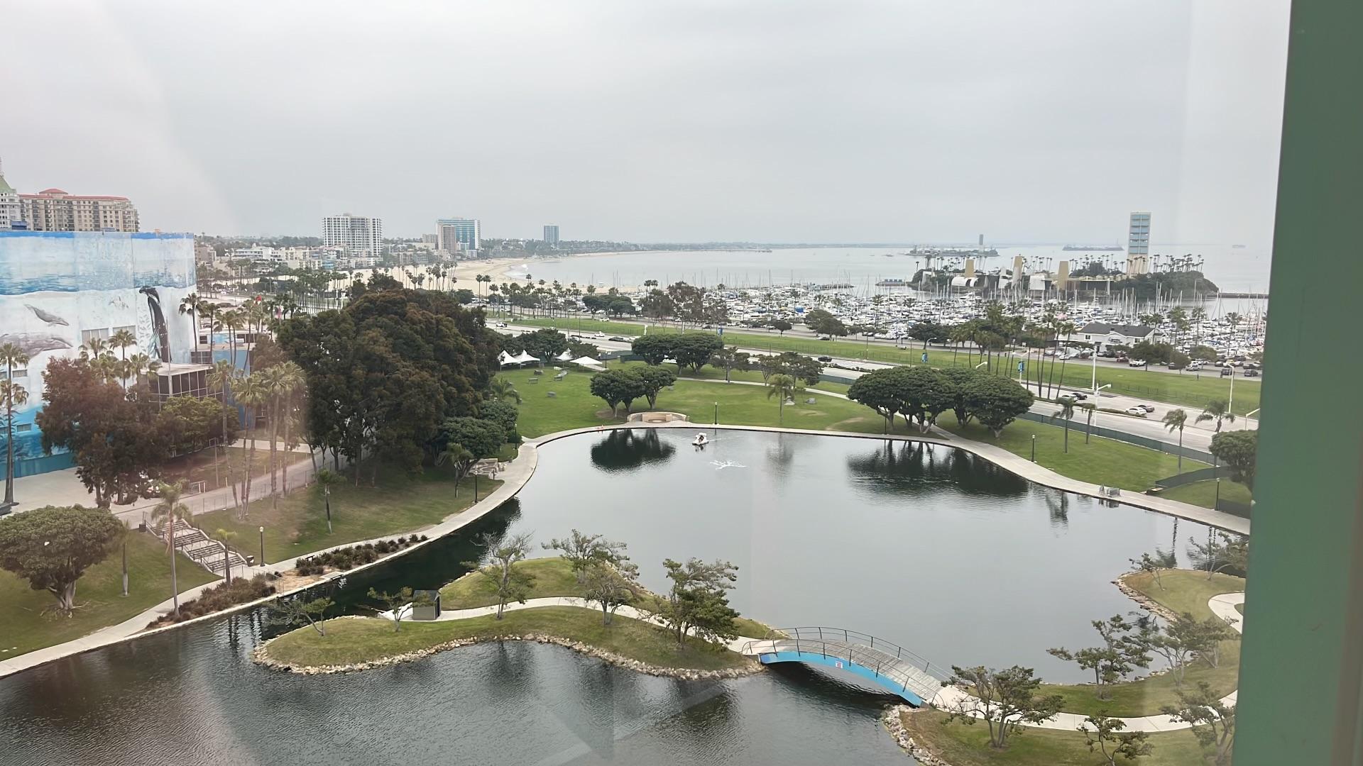 View from the room