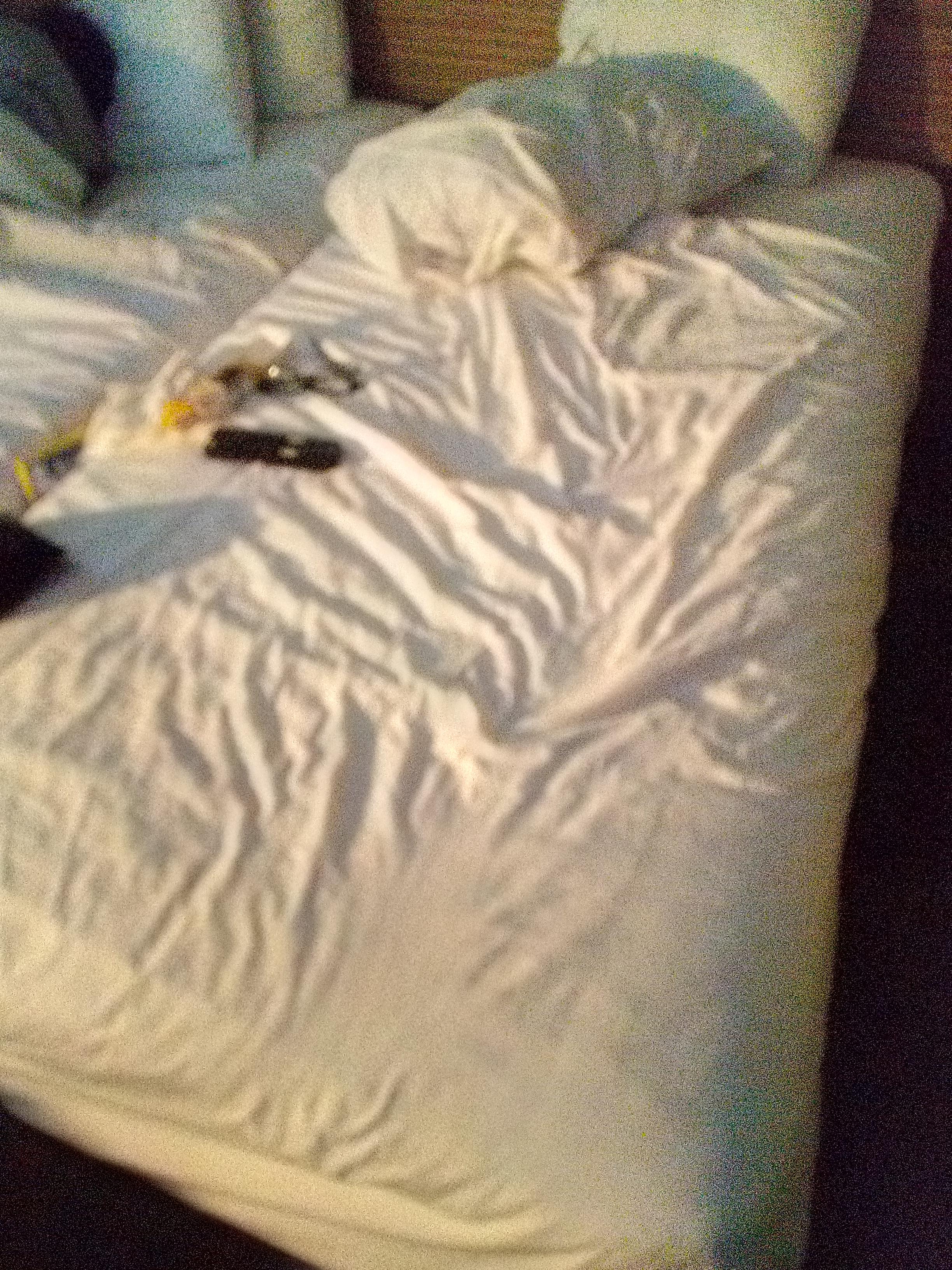 My messed up bed, that I returned to after this photo.