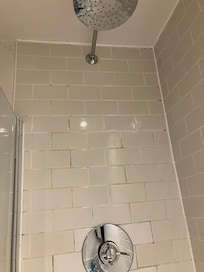 Mouldy shower wall