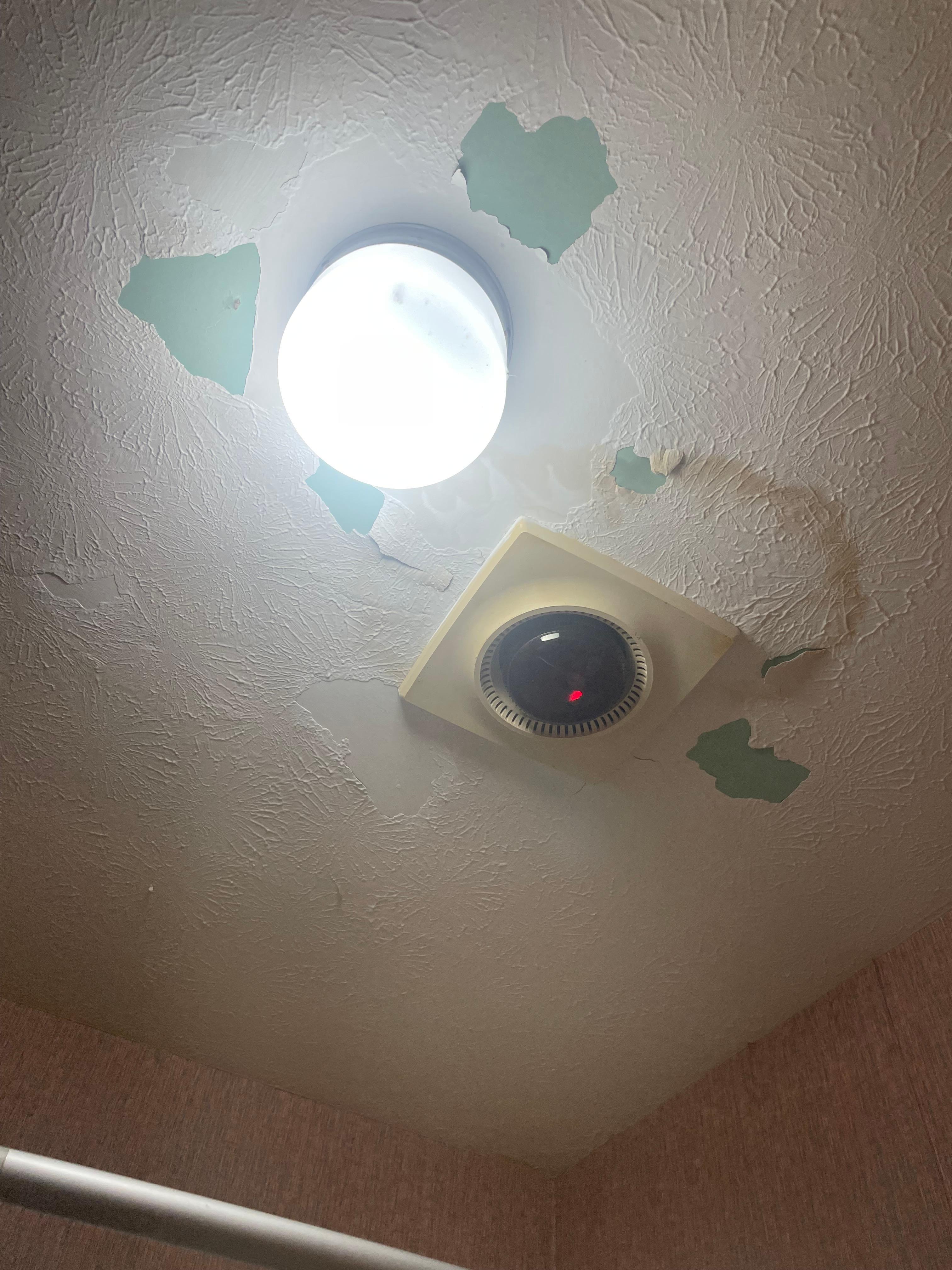 Bathroom ceiling