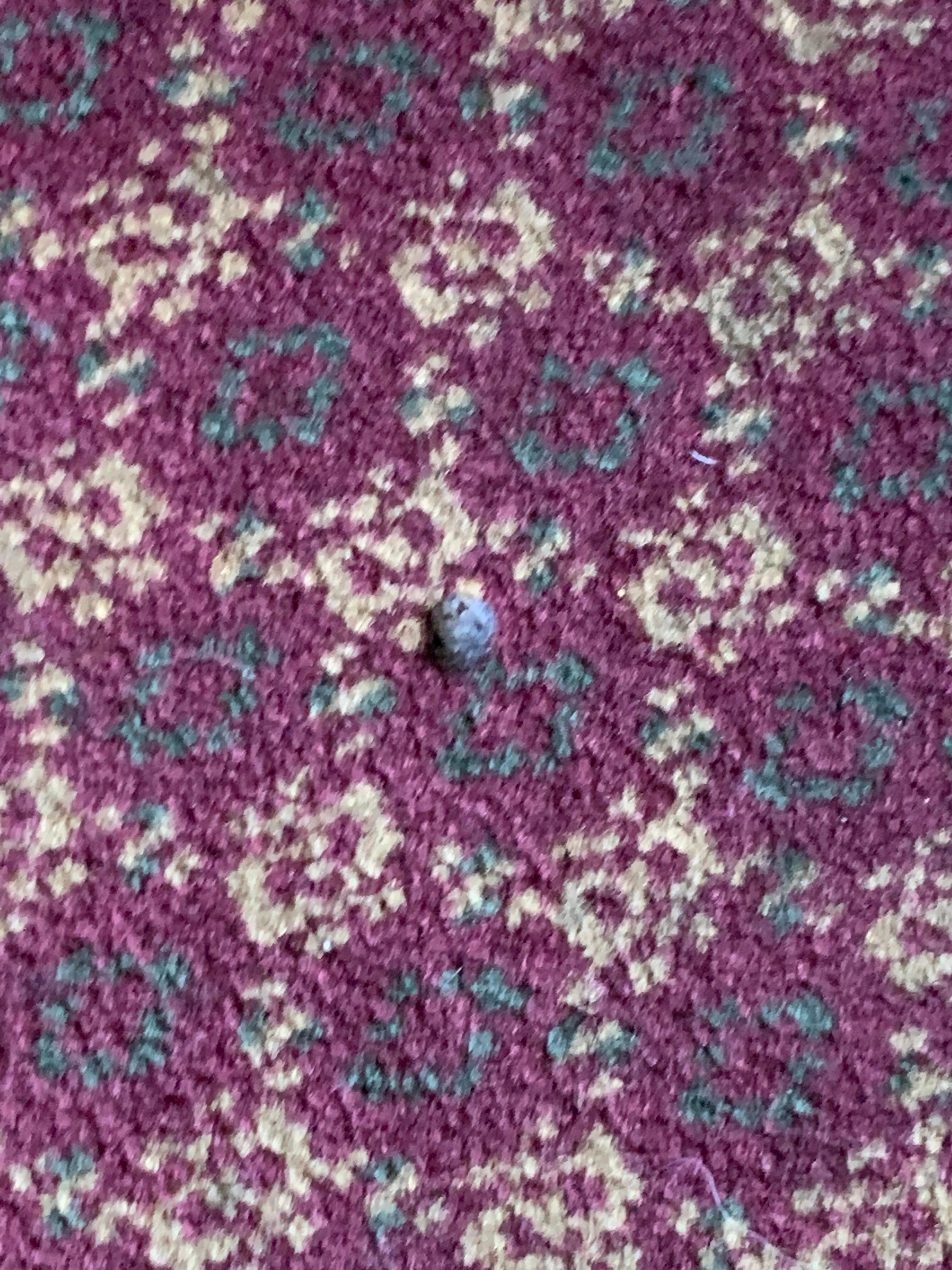 Burn mark in rug